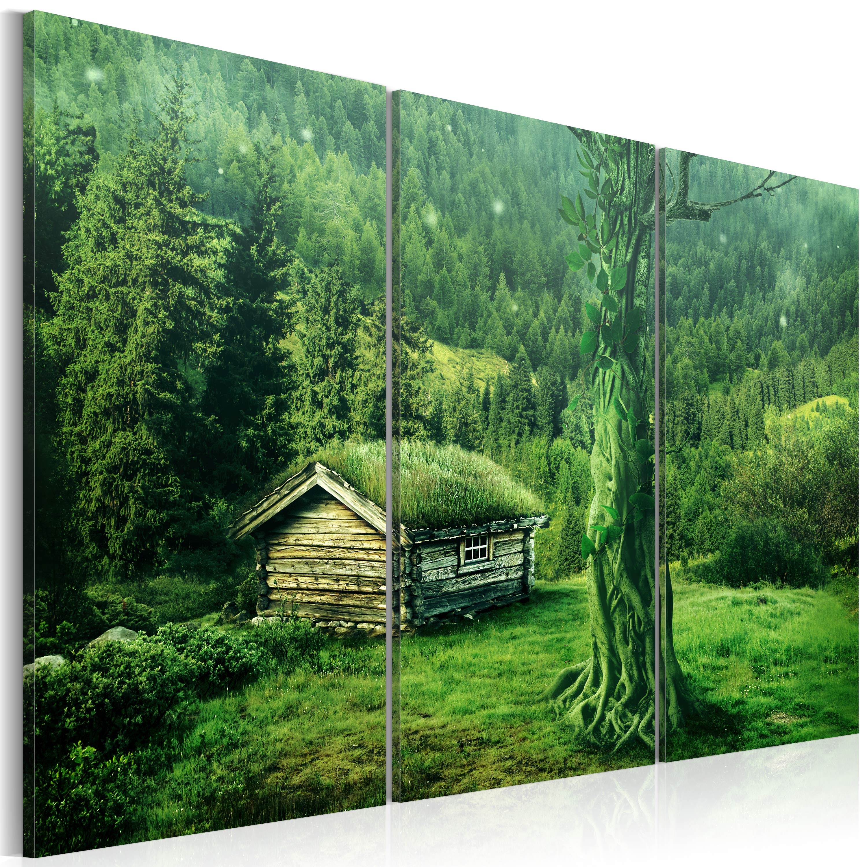Canvas Print - Forest ecosystem - 60x40