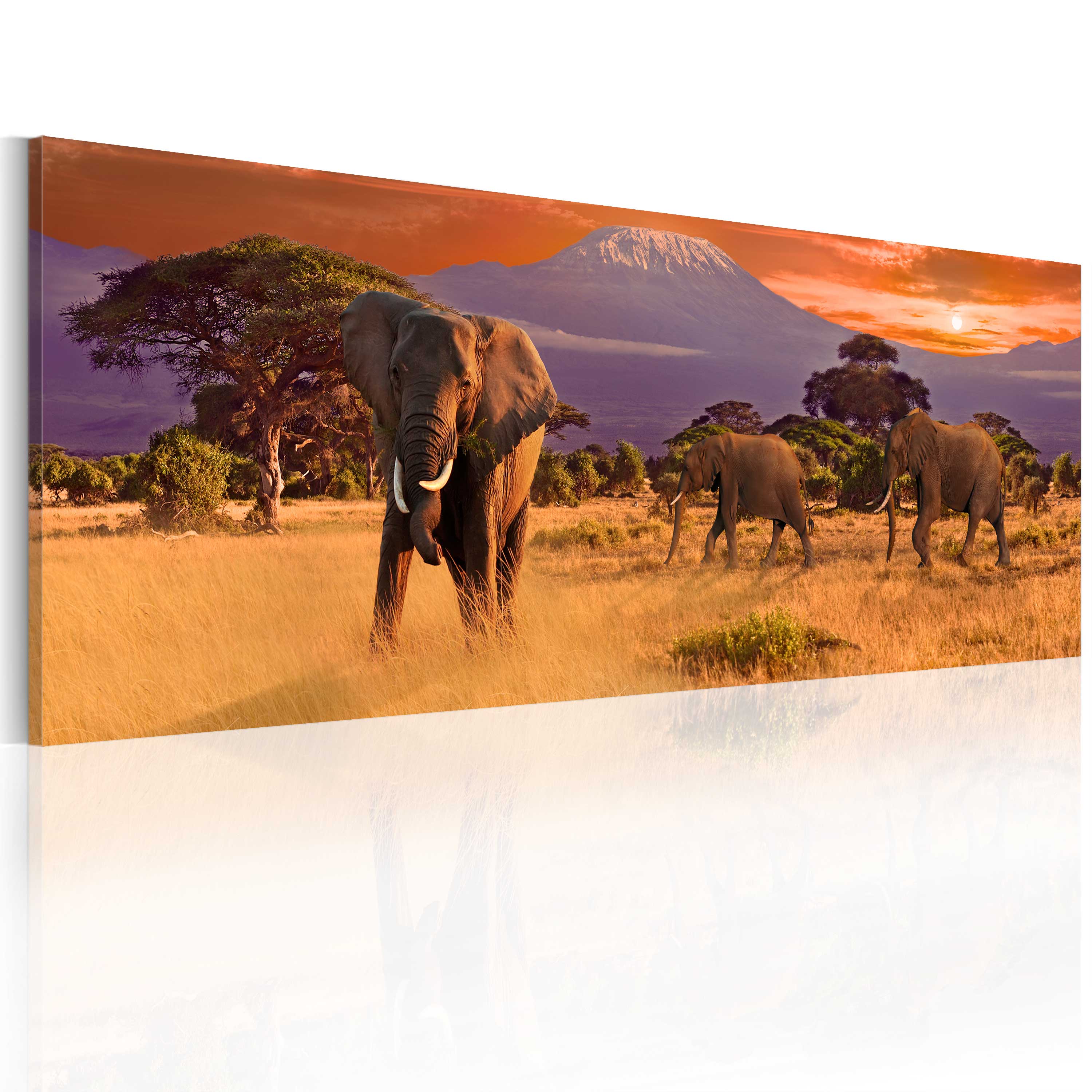 Canvas Print - March of african elephants - 120x40