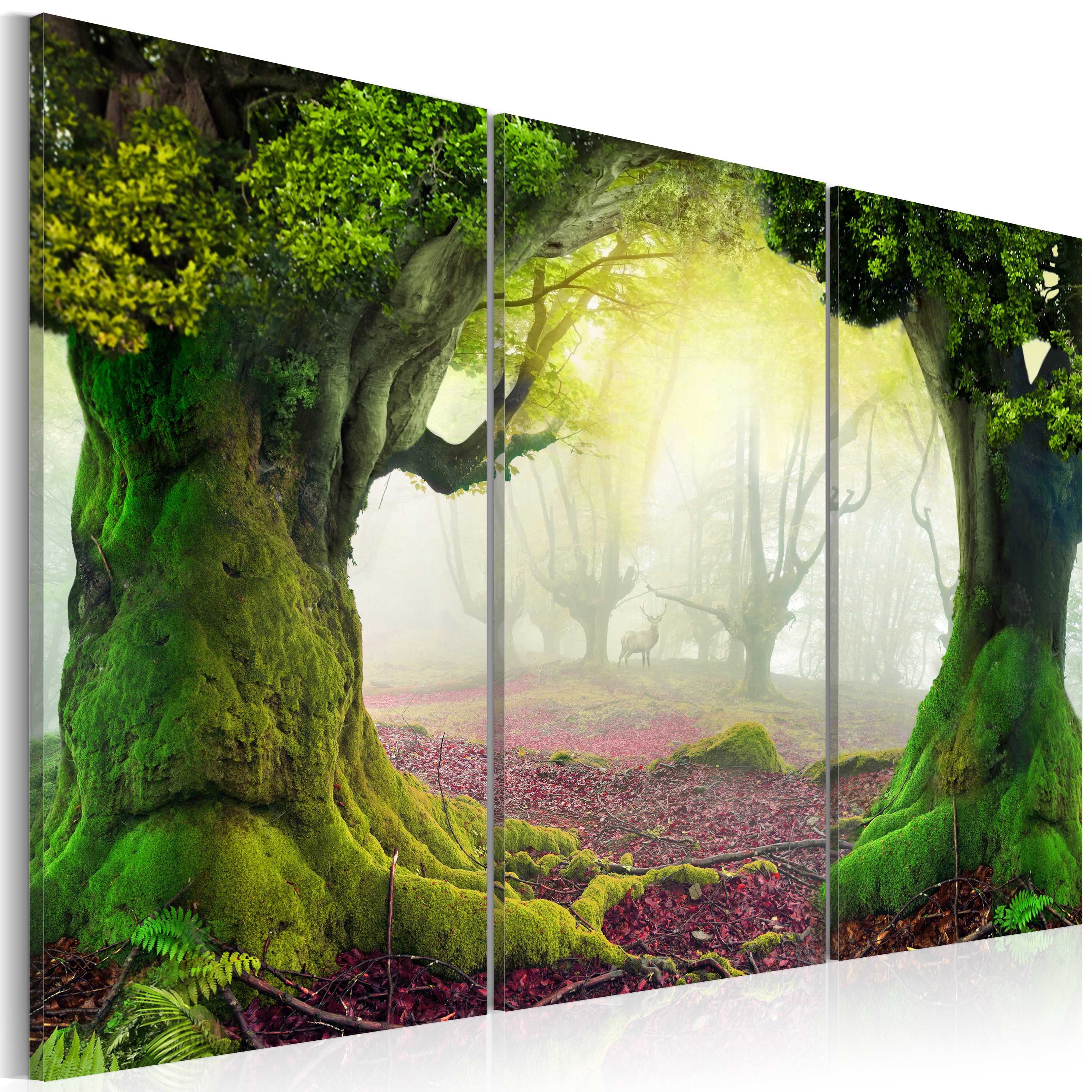 Canvas Print - Mysterious forest - triptych - 60x40