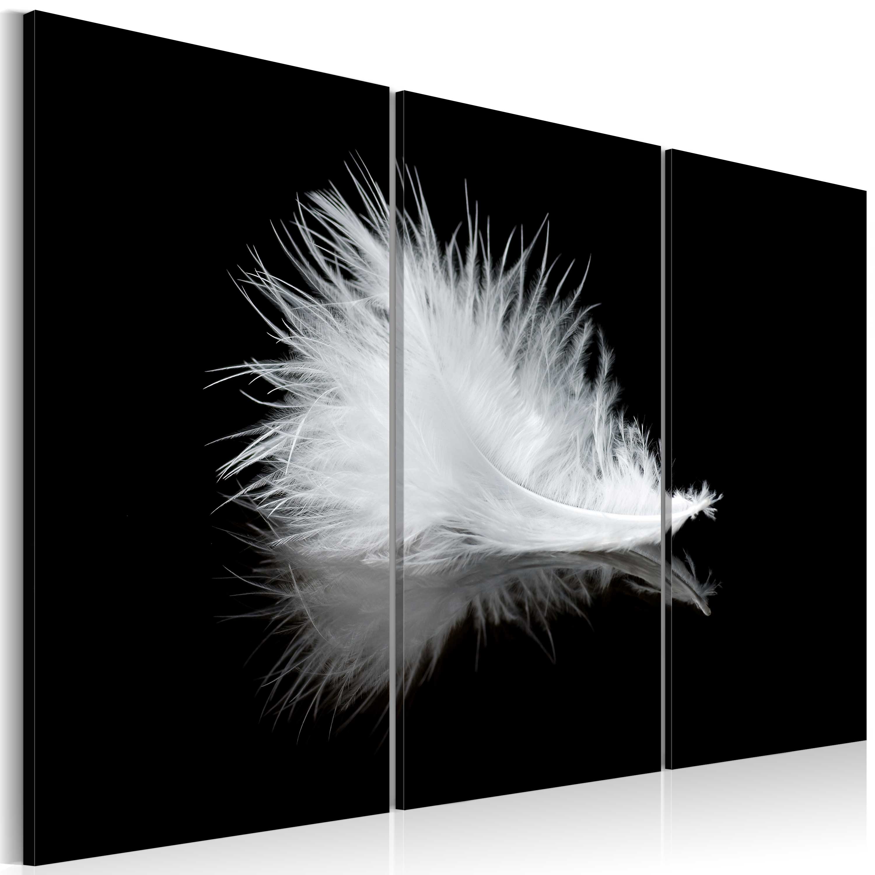 Canvas Print - A small feather - 60x40