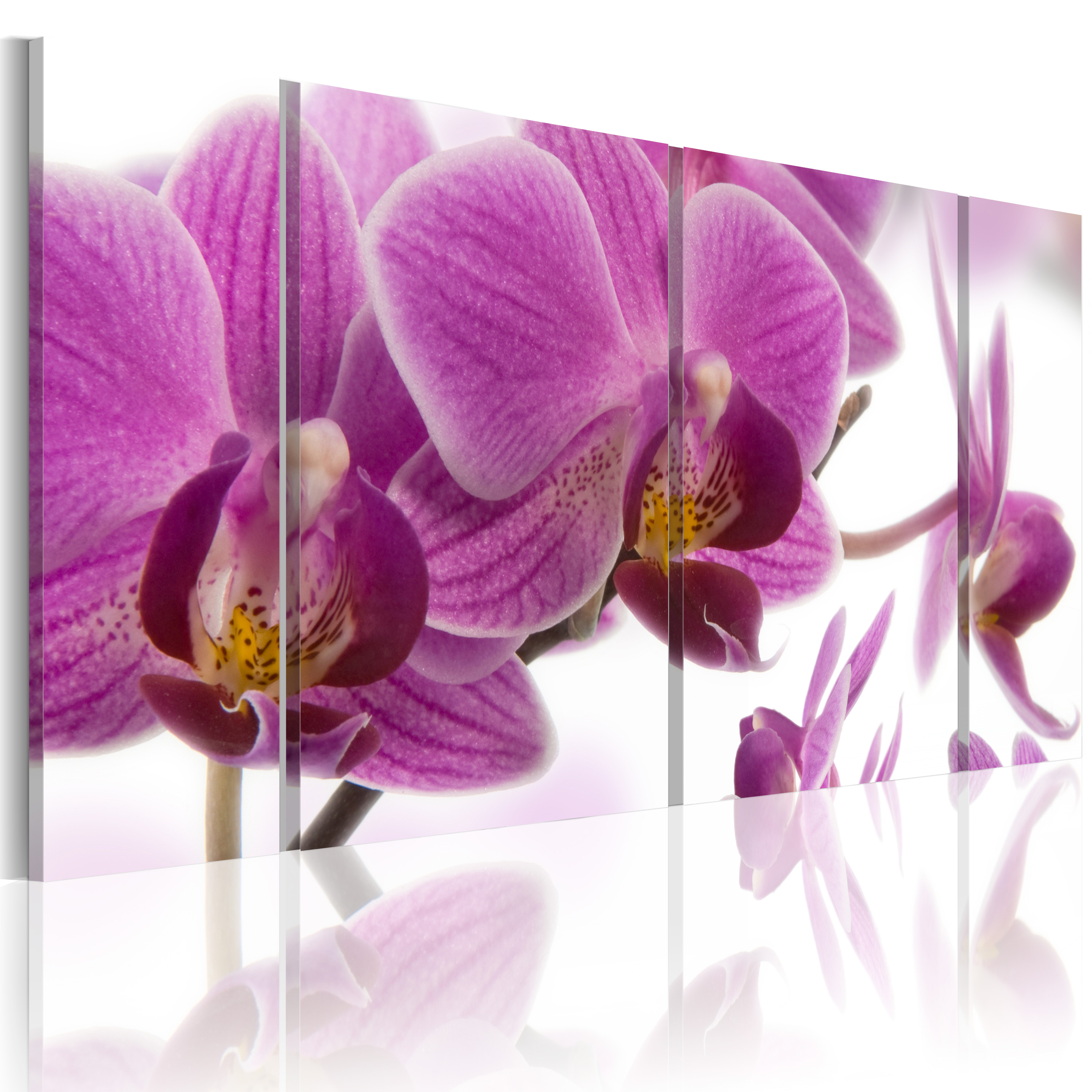 Canvas Print - Marvelous orchid - 120x60