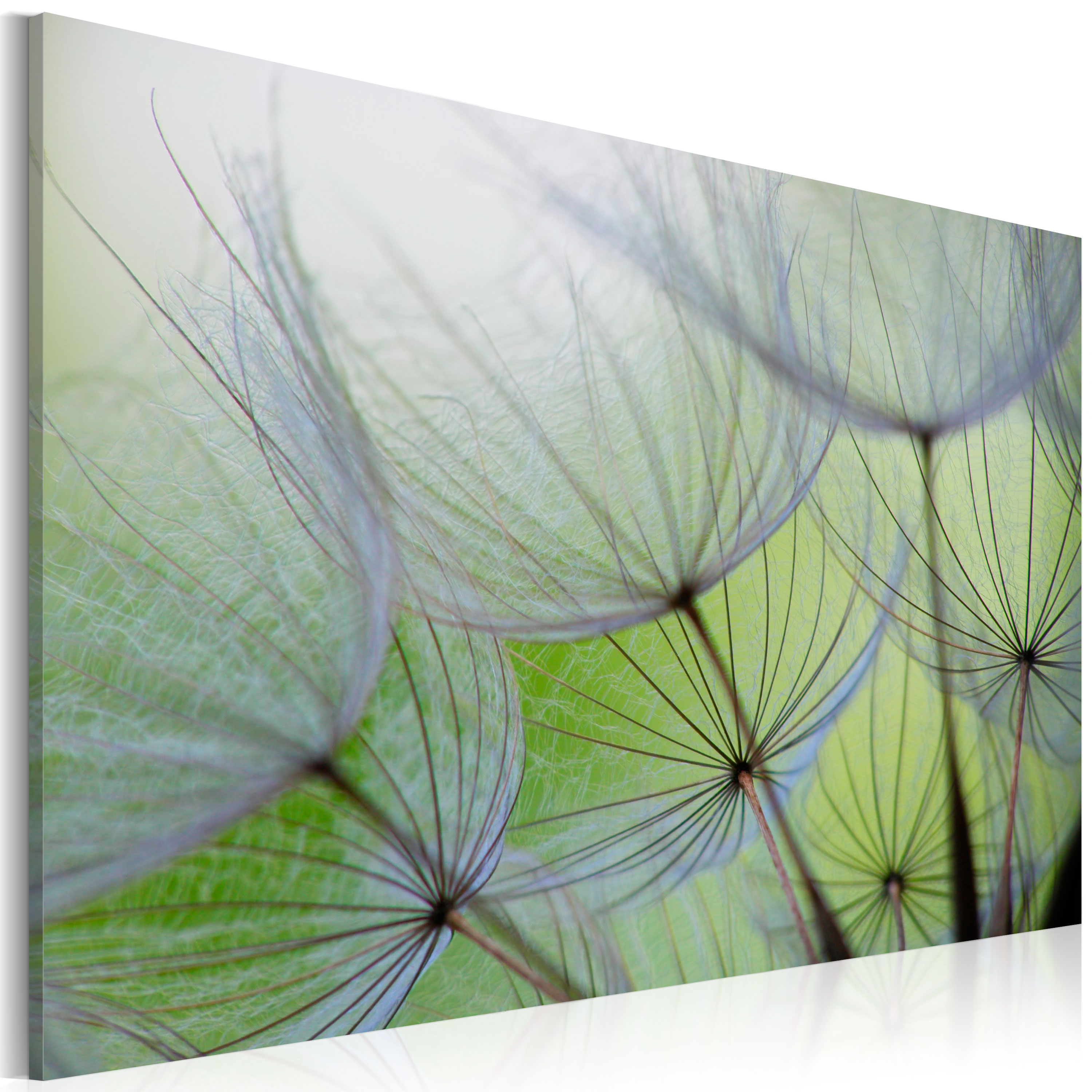 Canvas Print - Dandelion in the wind - 120x80