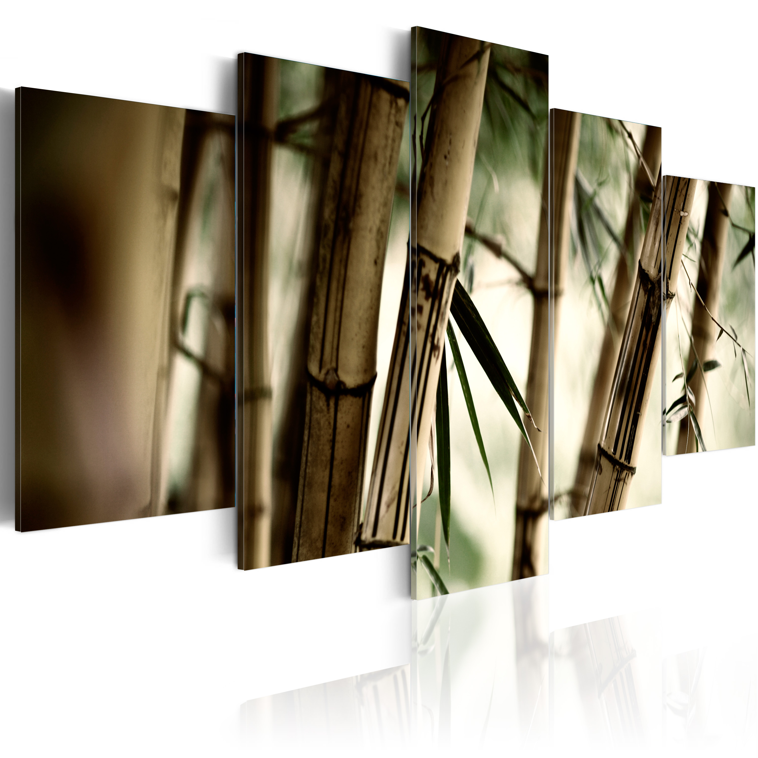 Canvas Print - Asian bamboo forest - 100x50