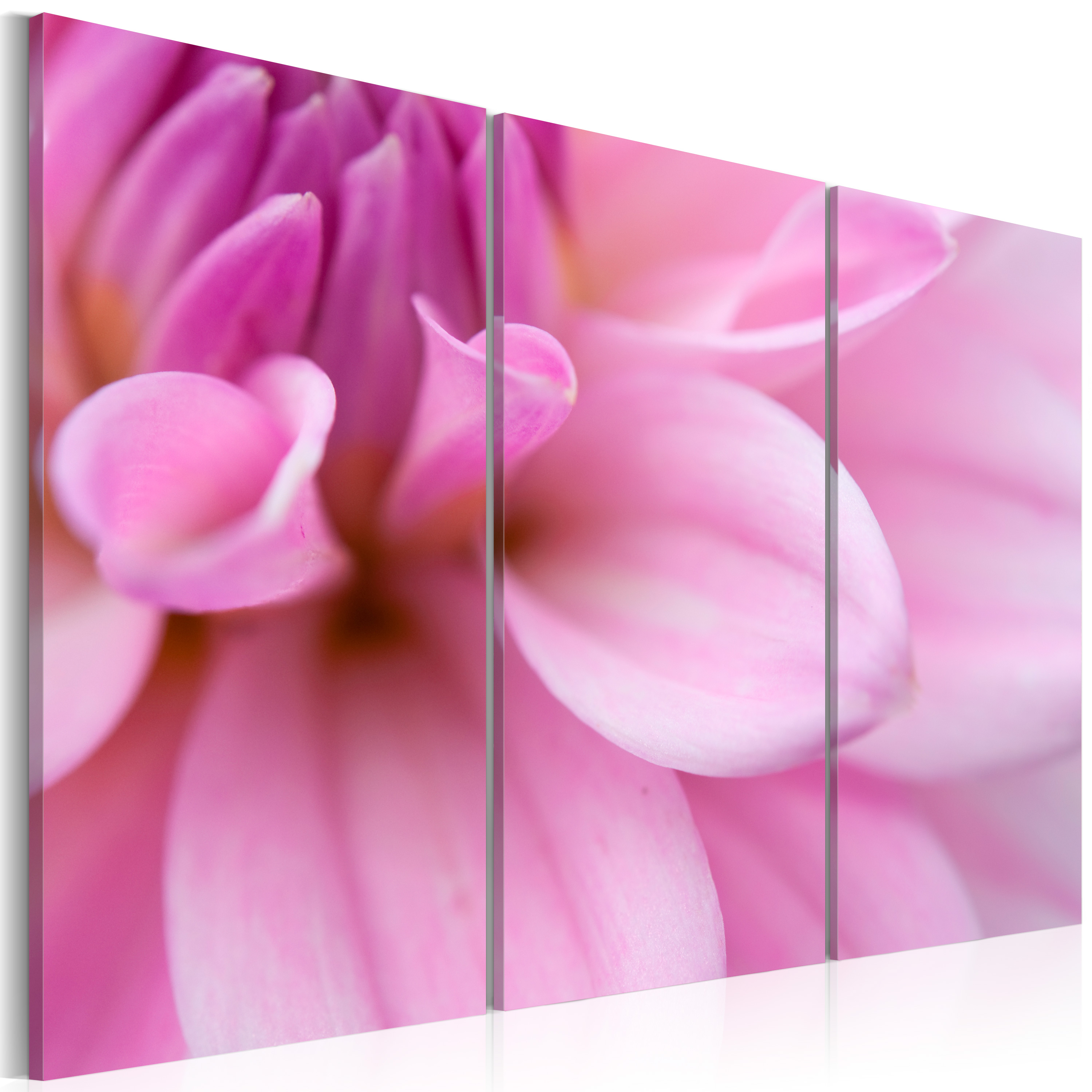 Canvas Print - Pink dahlia - 90x60