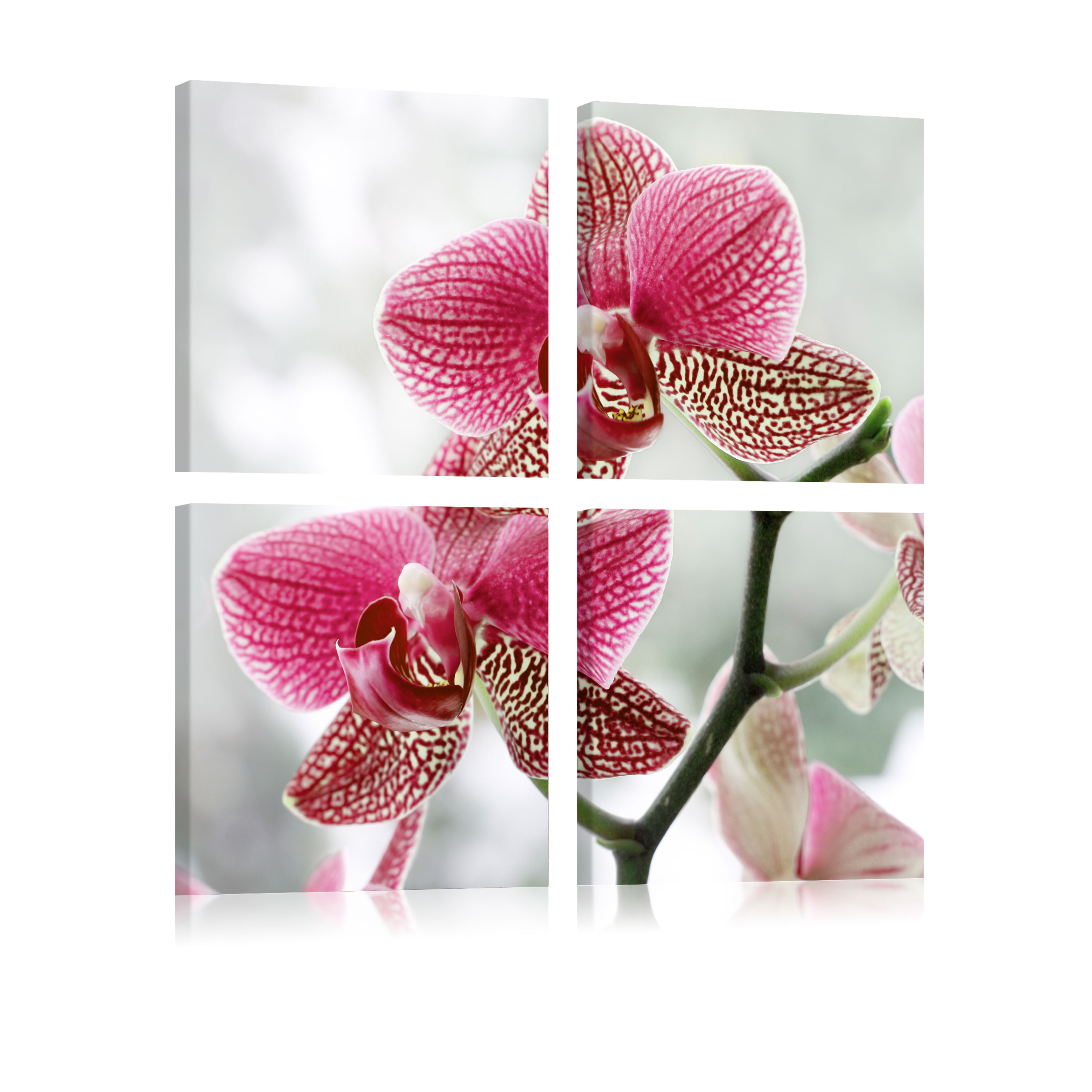 Canvas Print - Fancy orchid - 90x90