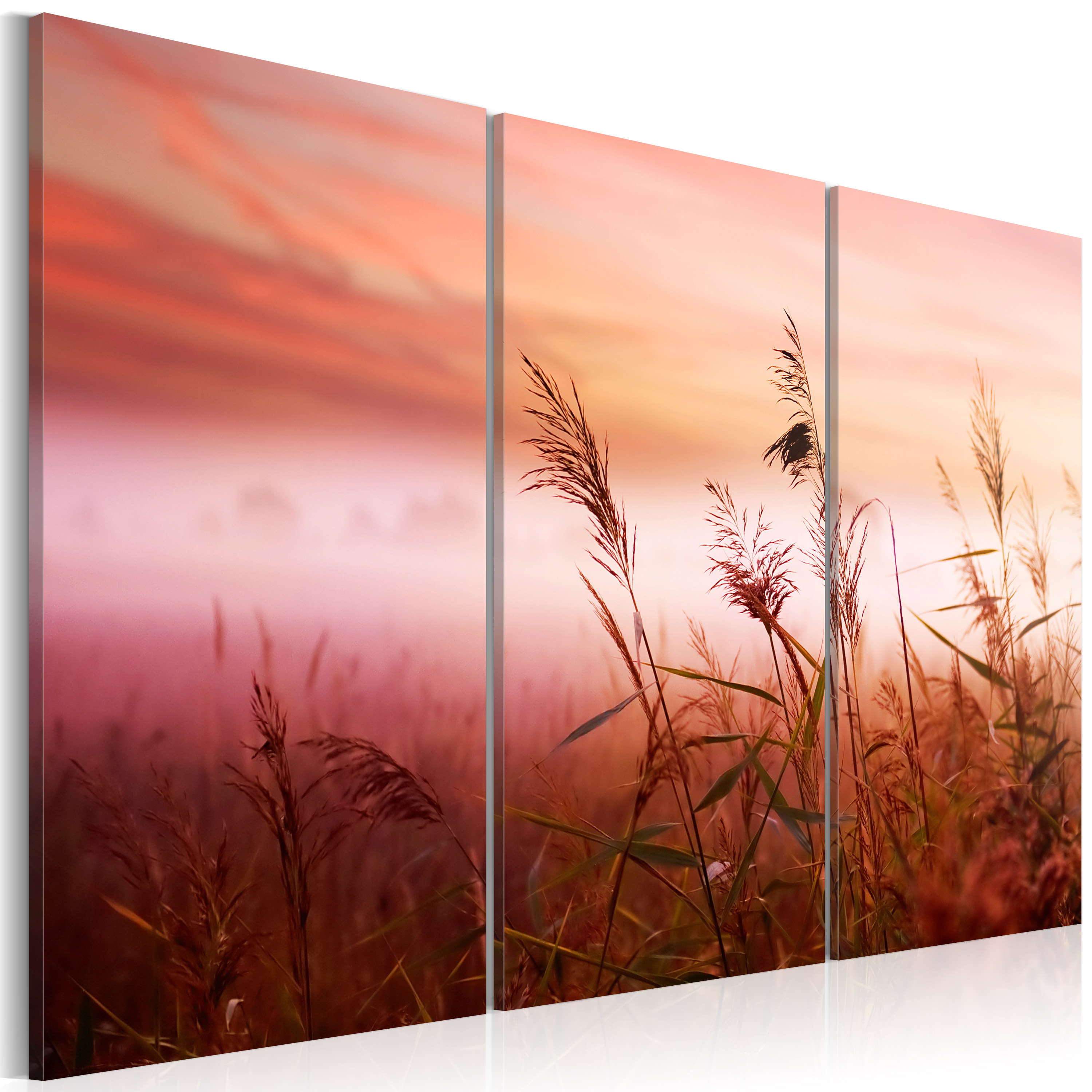 Canvas Print - A silent meadow - 120x80