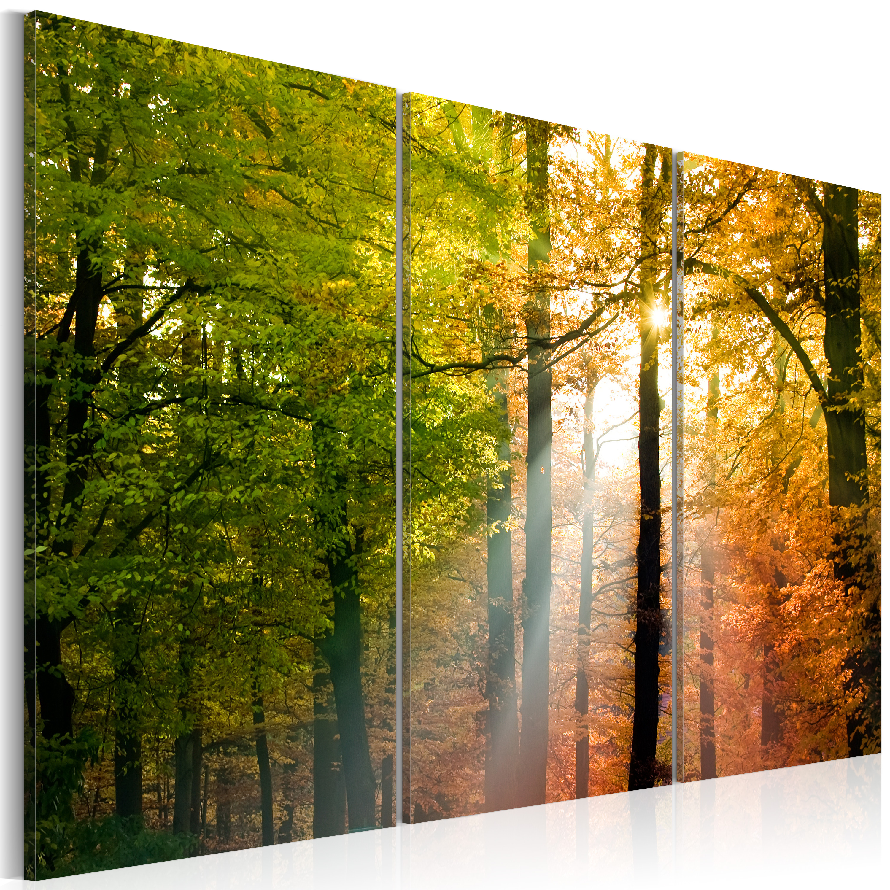 Canvas Print - A calm autumn forest - 60x40