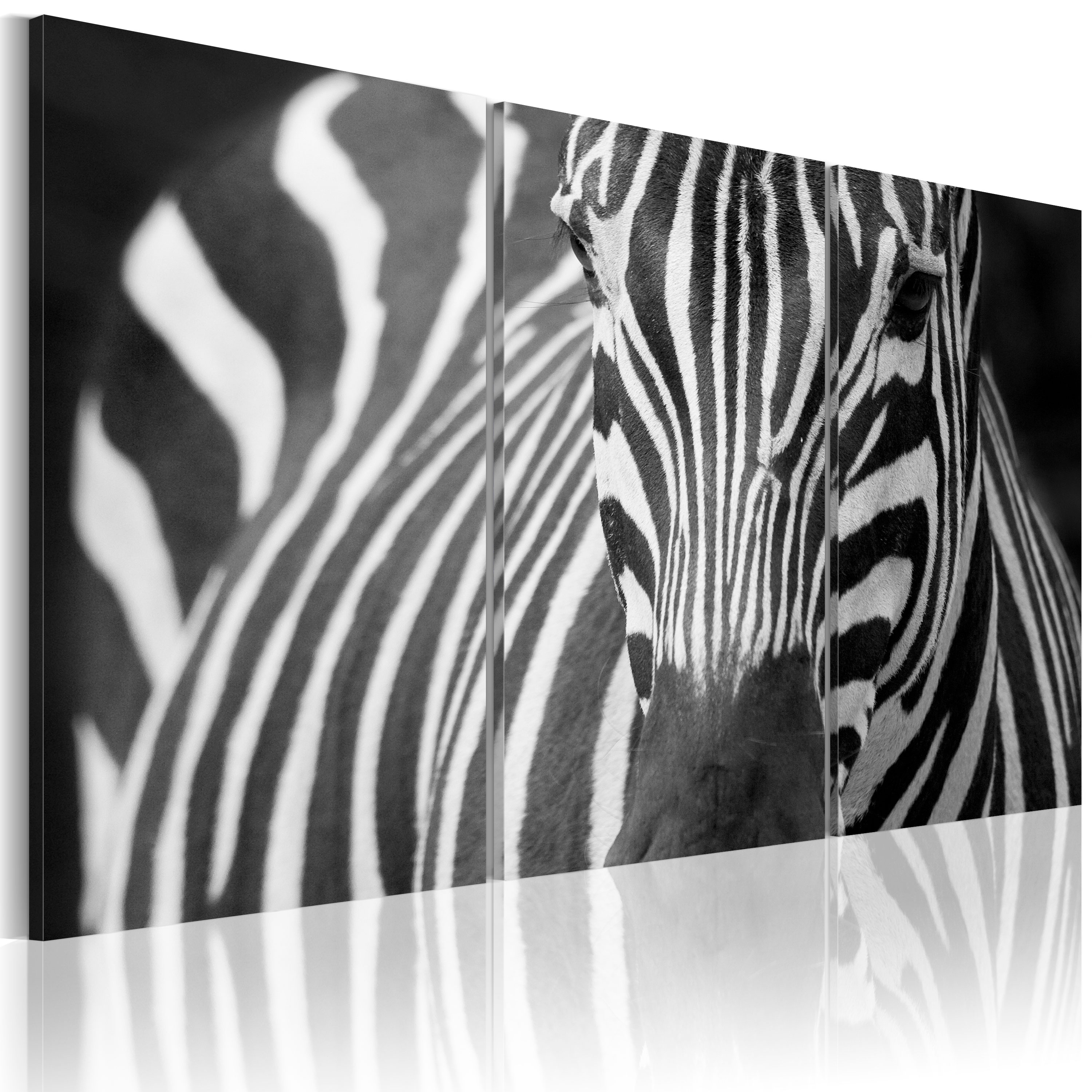 Canvas Print - Mrs. Zebra - 120x80