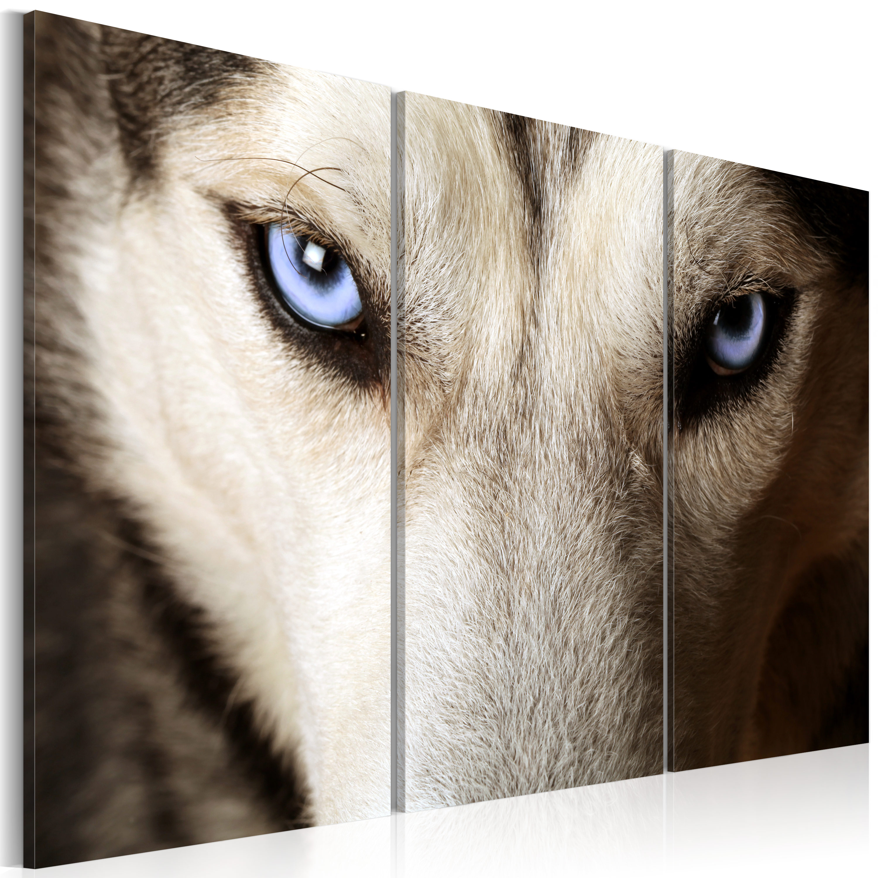 Canvas Print - Face to face with fear - 120x80