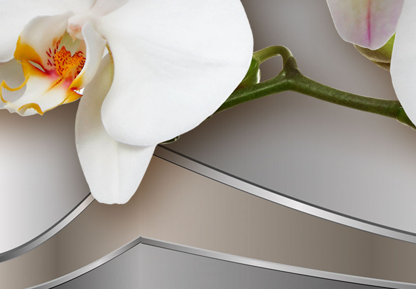 Blumen Vlies Leinwandbild 5 tlg Orchidee Abstrakt Natur Wandbilder XXL Bilder