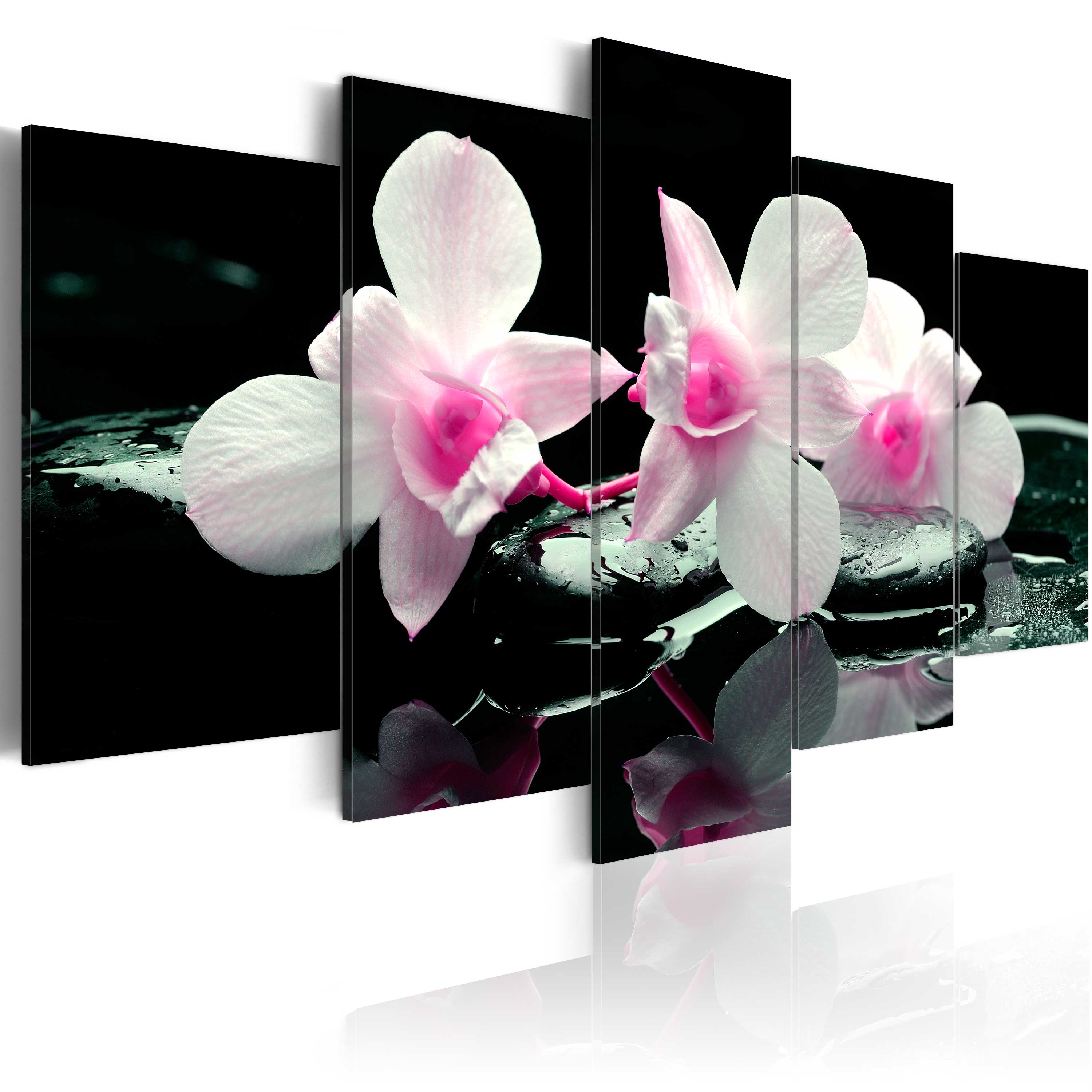 Canvas Print - Rest of orchids - 100x50