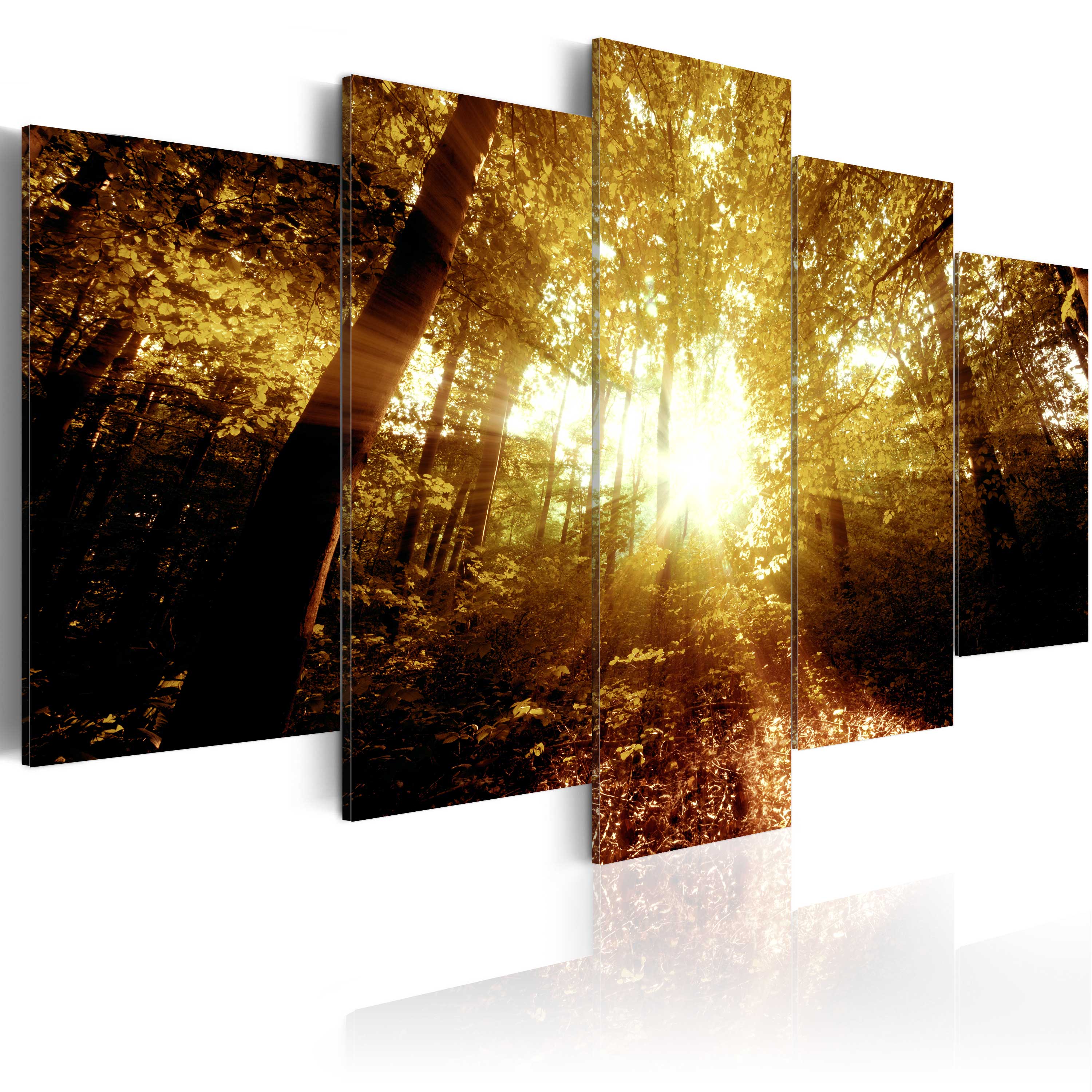 Canvas Print - Autumn Forest - 100x50