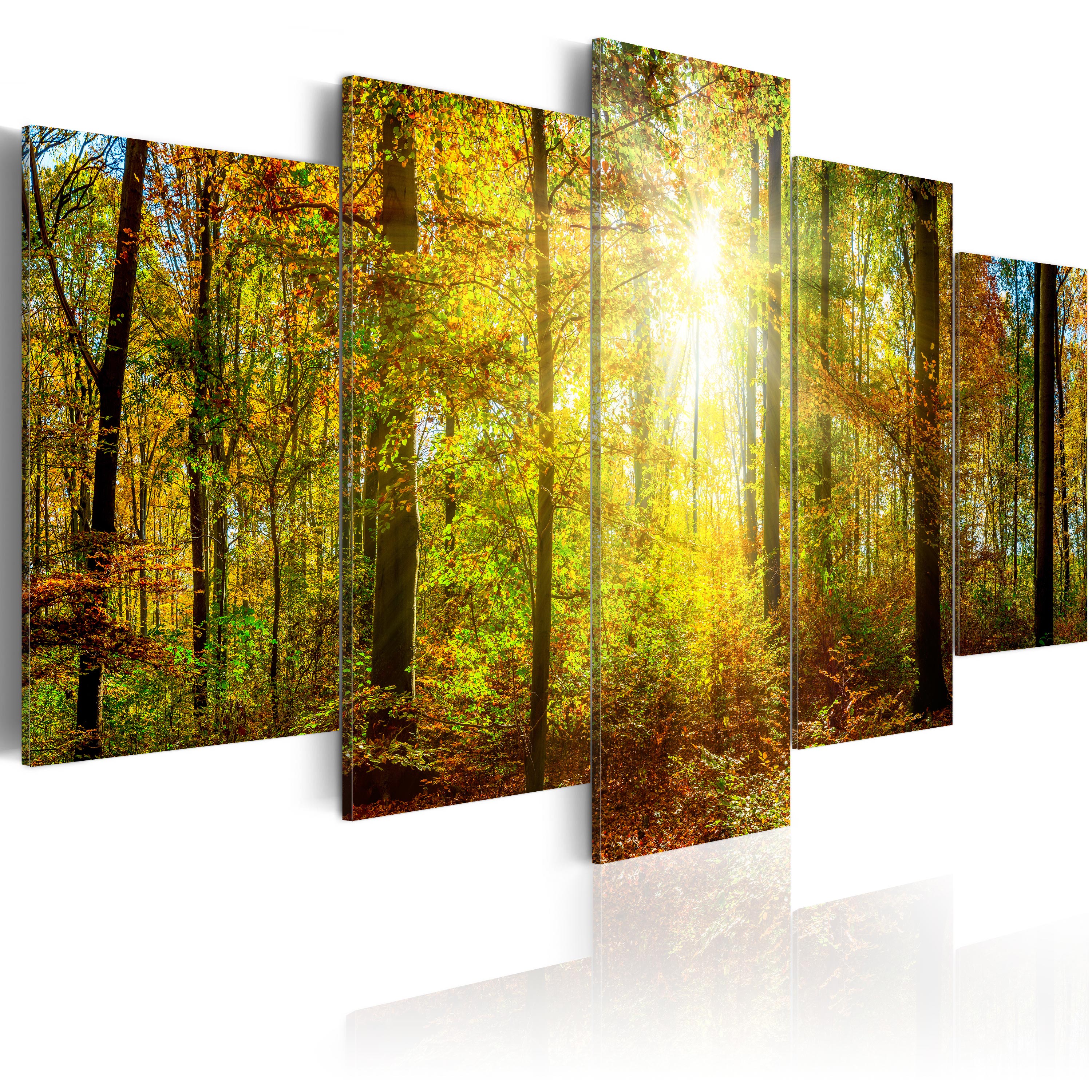 Canvas Print Forest Nature Framed Wall Art Picture Photo Image cB0090