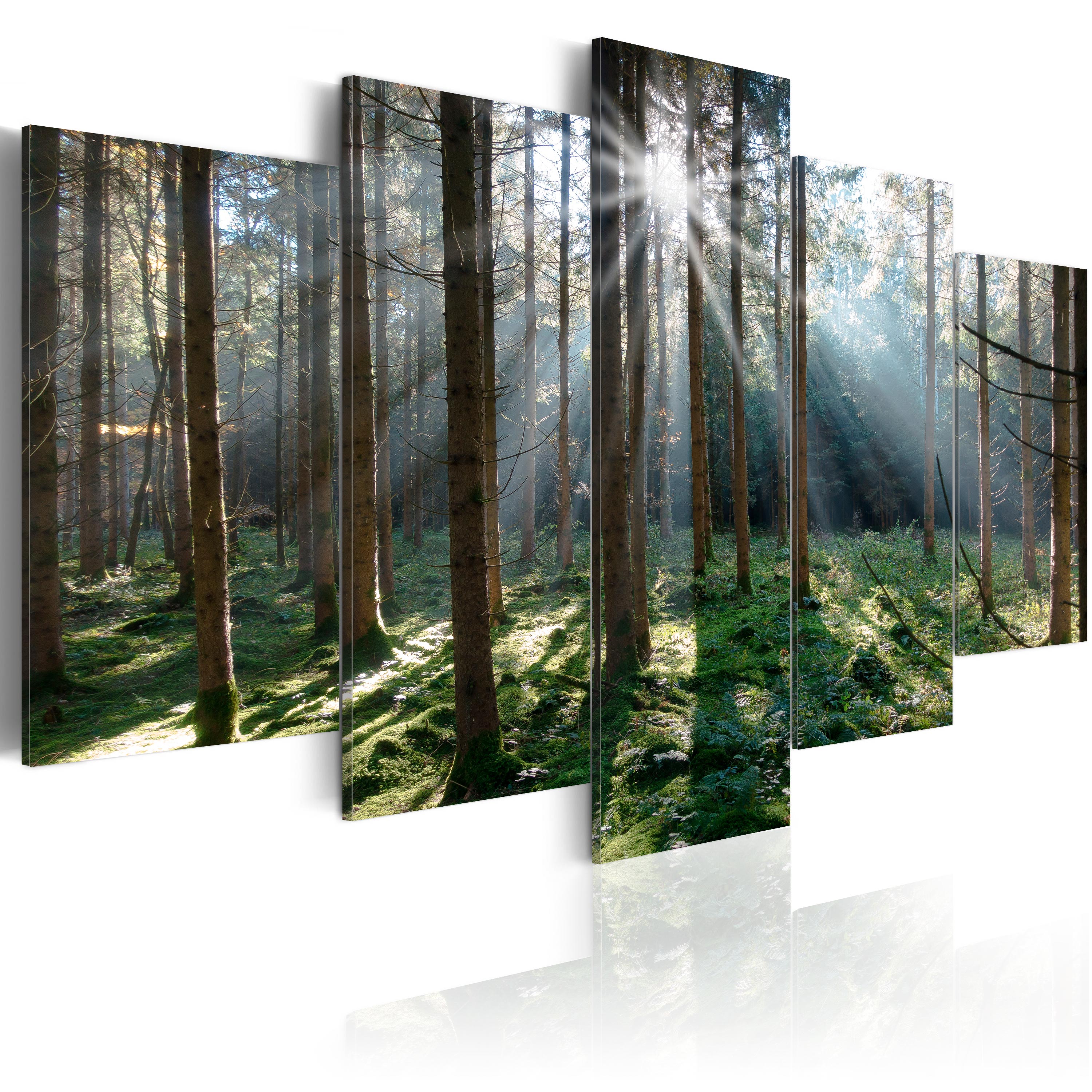 Canvas Print - Fairytale Forest - 100x50