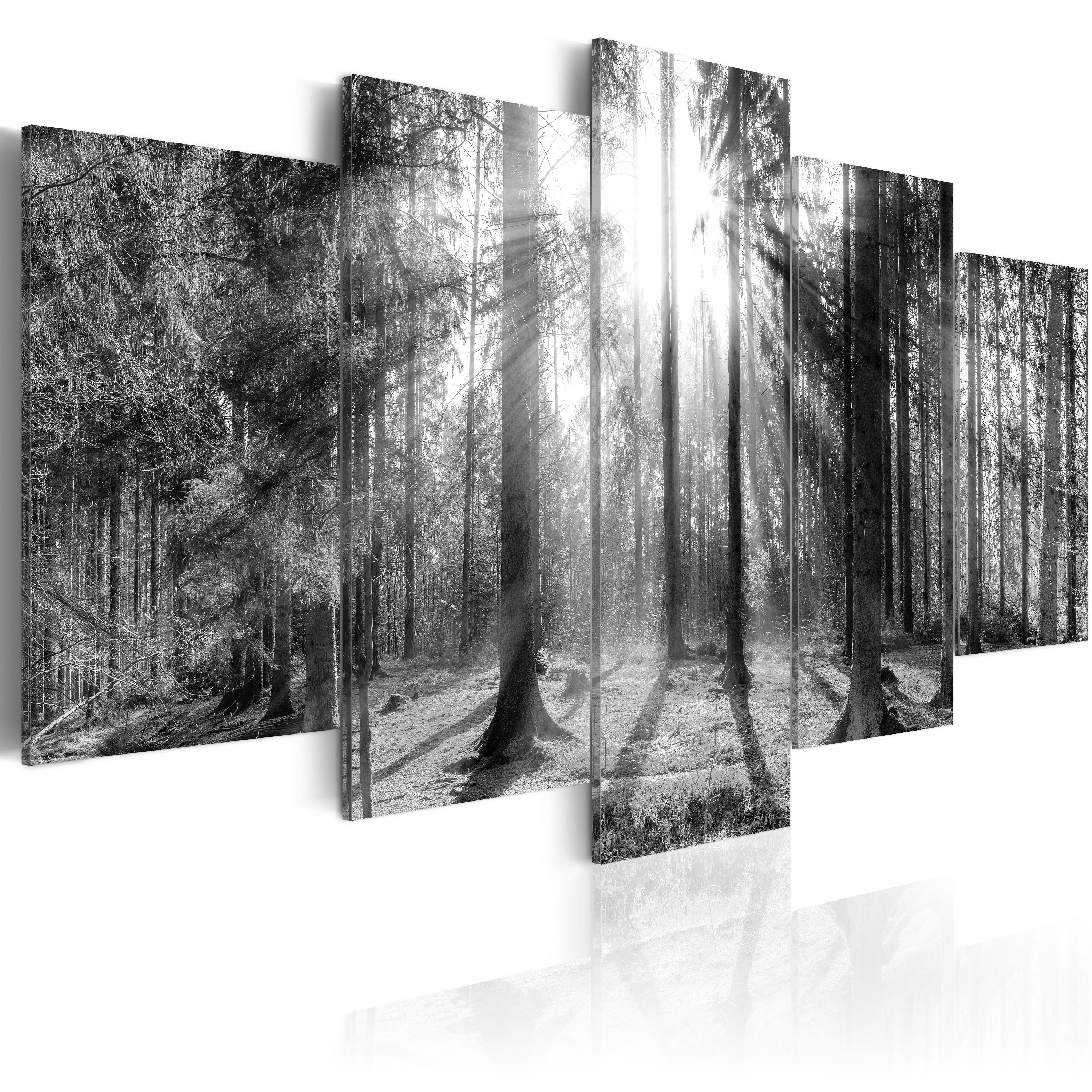 Canvas Print - Forest of Memories - 100x50