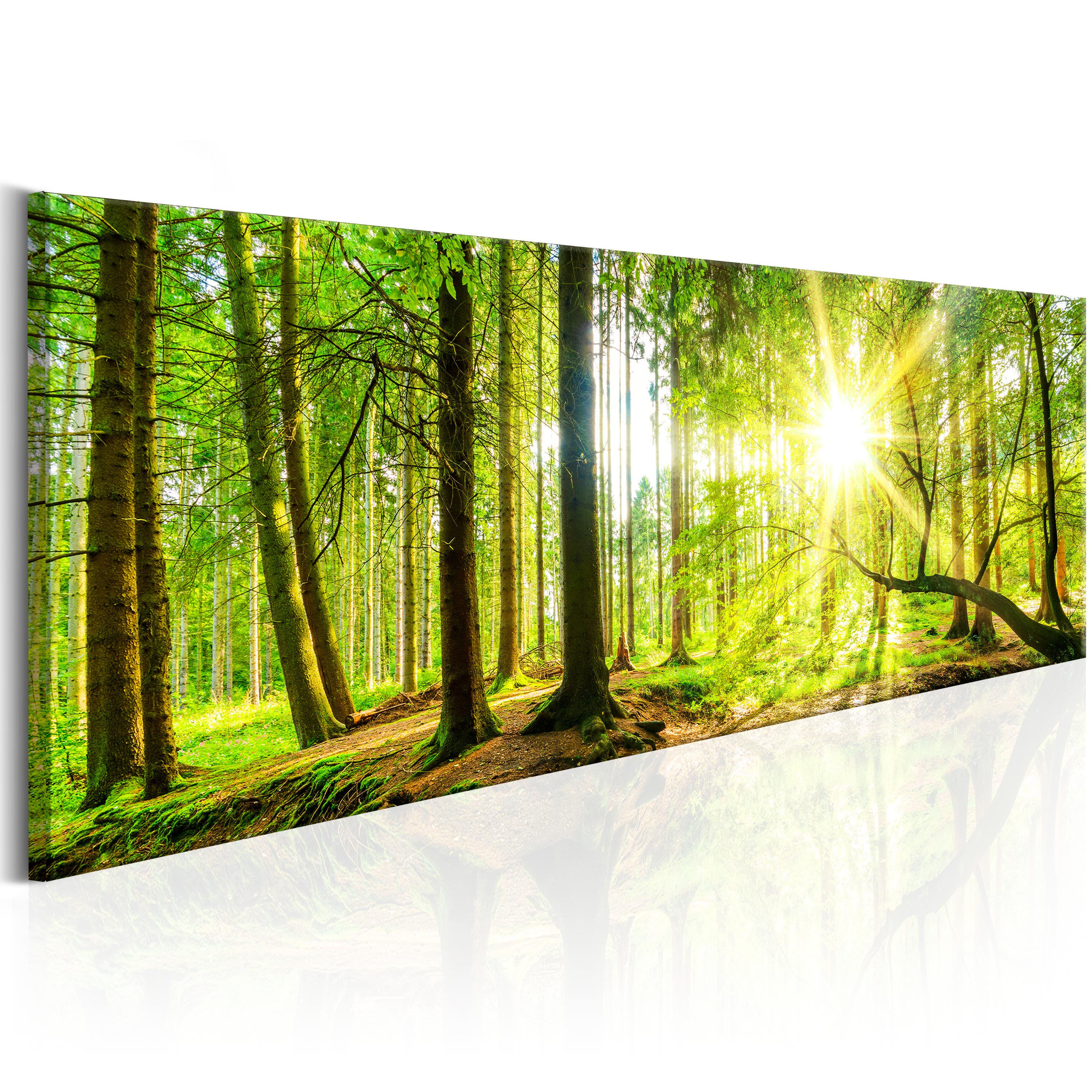 Canvas Print - Majestic Trees - 135x45