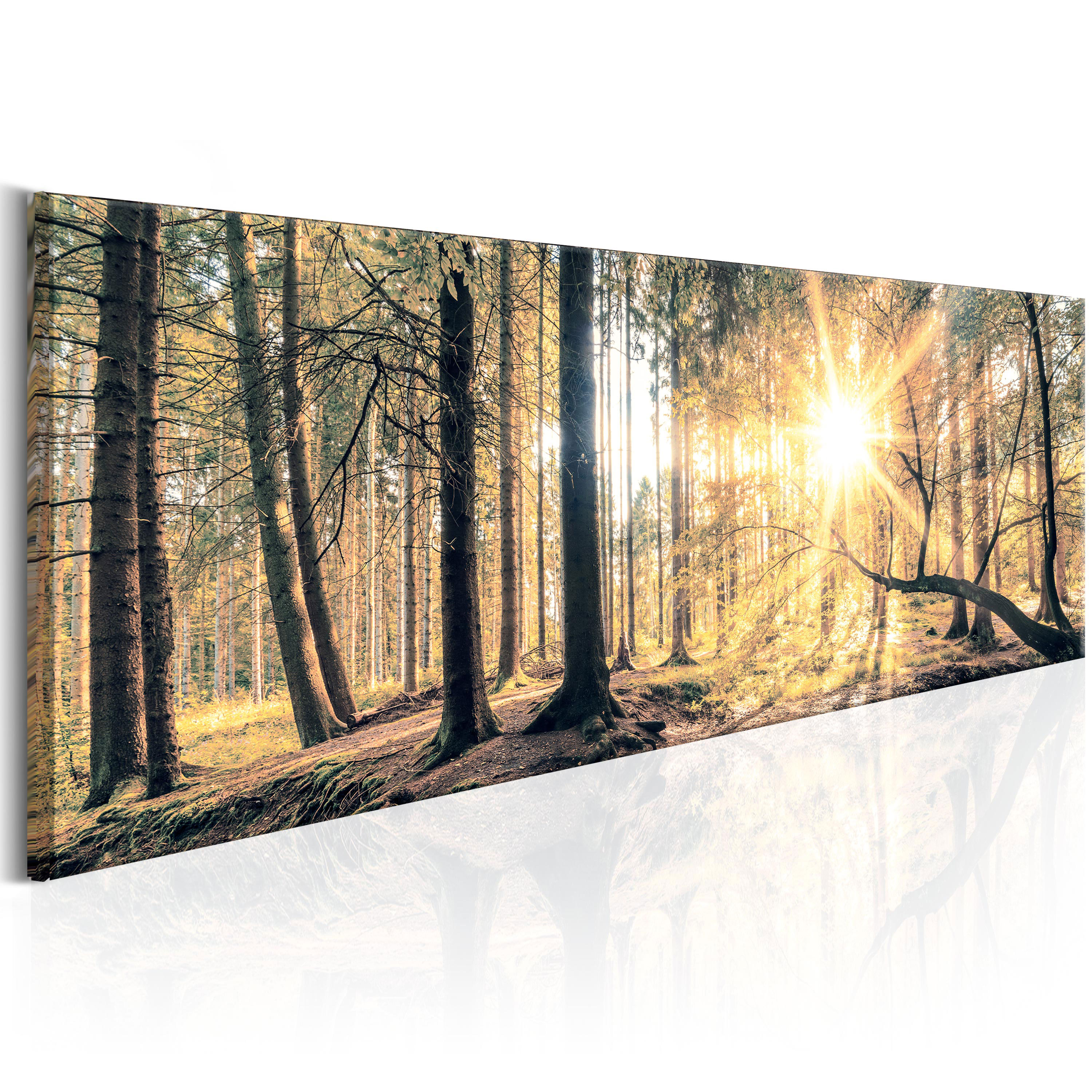 Wandbilder xxl Wald Landschaft Ausblick Leinwand Bilder Wohnzimmer ... Wandbilder xxl Wald Landschaft Ausblick Leinwand Bilder Wohnzimmer ...