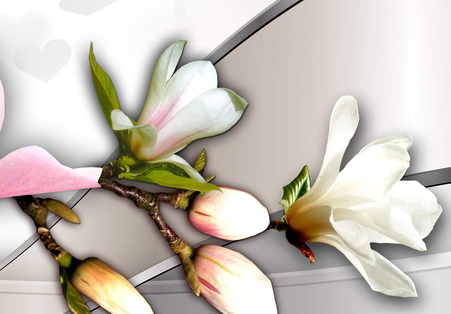 Bild 5 von 13