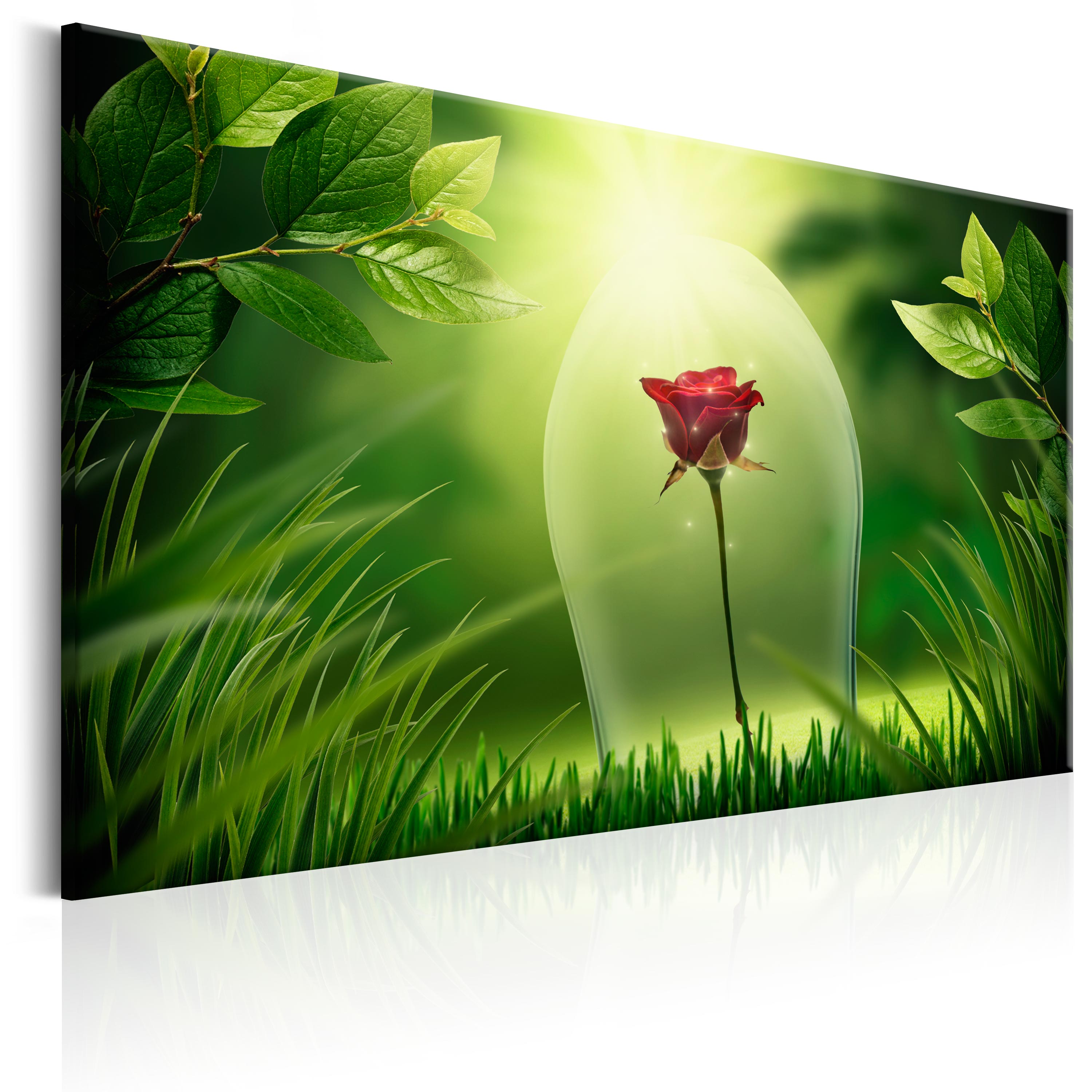 Canvas Print - Magical Rose - 90x60