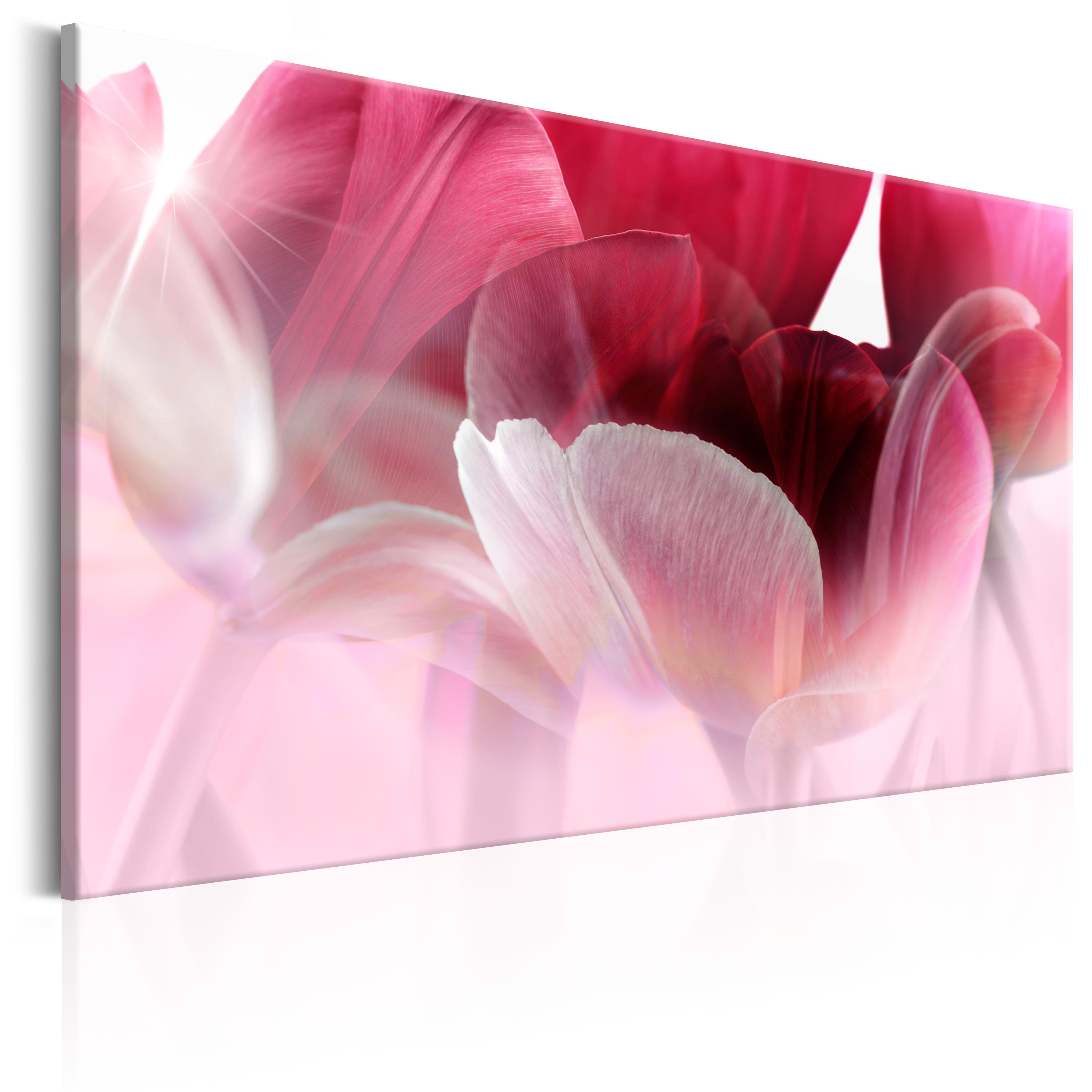 Canvas Print - Nature: Pink Tulips - 90x60