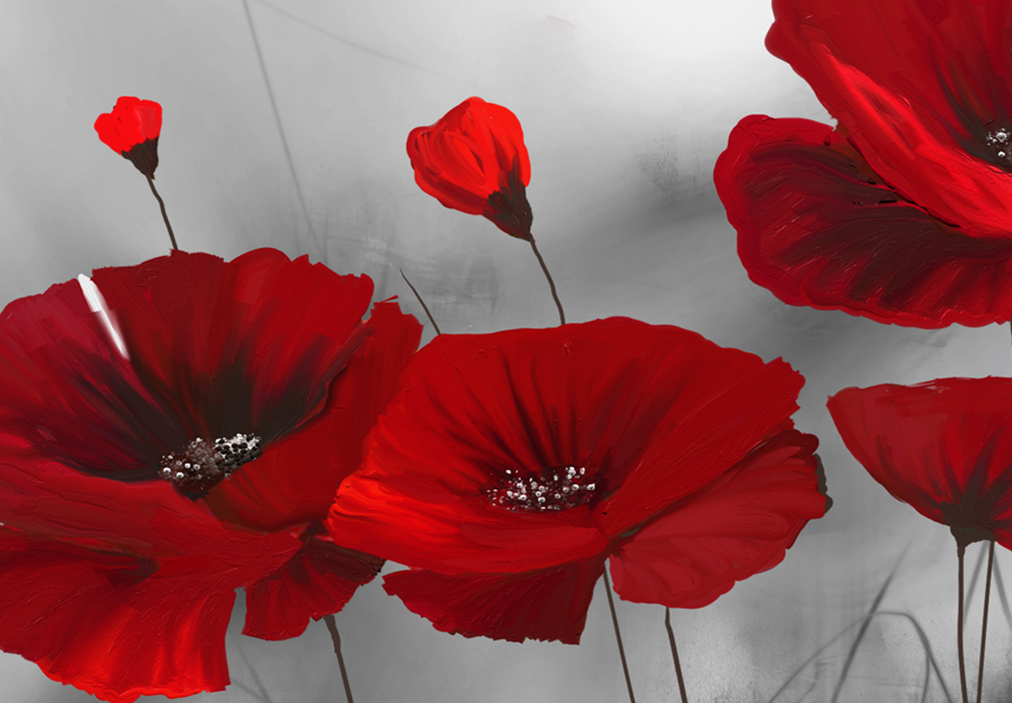 BLUMEN MOHN WIESE ROT GRAU Wandbilder xxl Bilder Vlies Leinwand b-A-0352-b-b