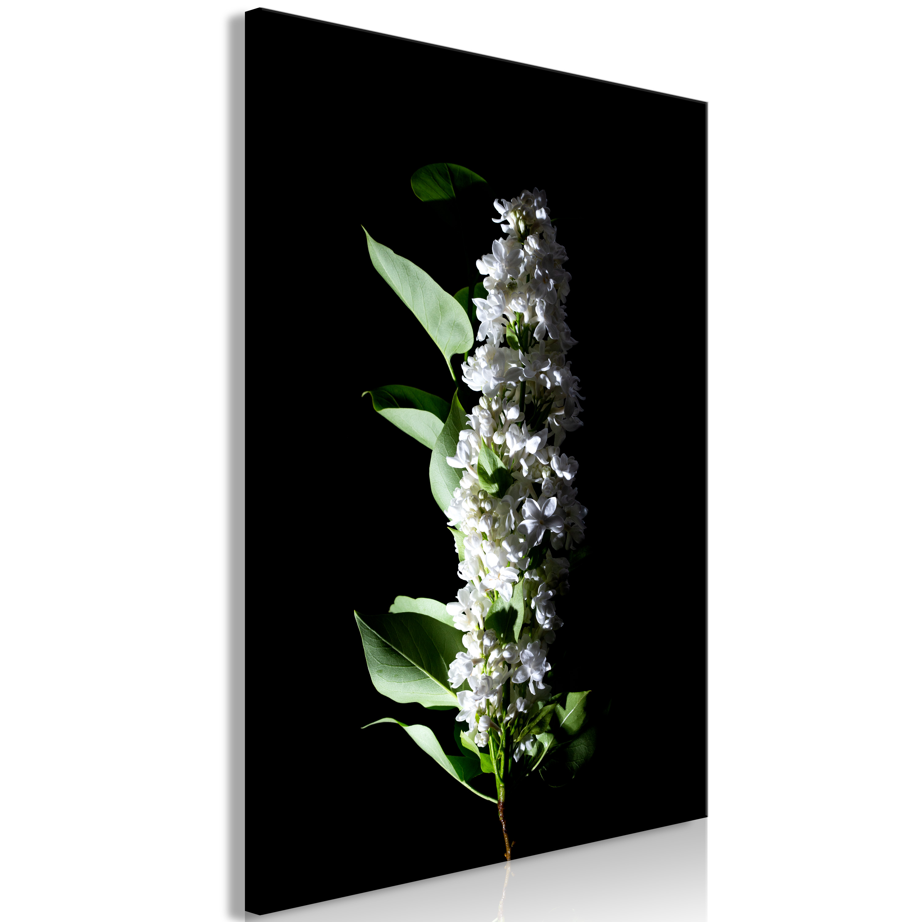 Canvas Print - White Lilacs (1 Part) Vertical - 40x60