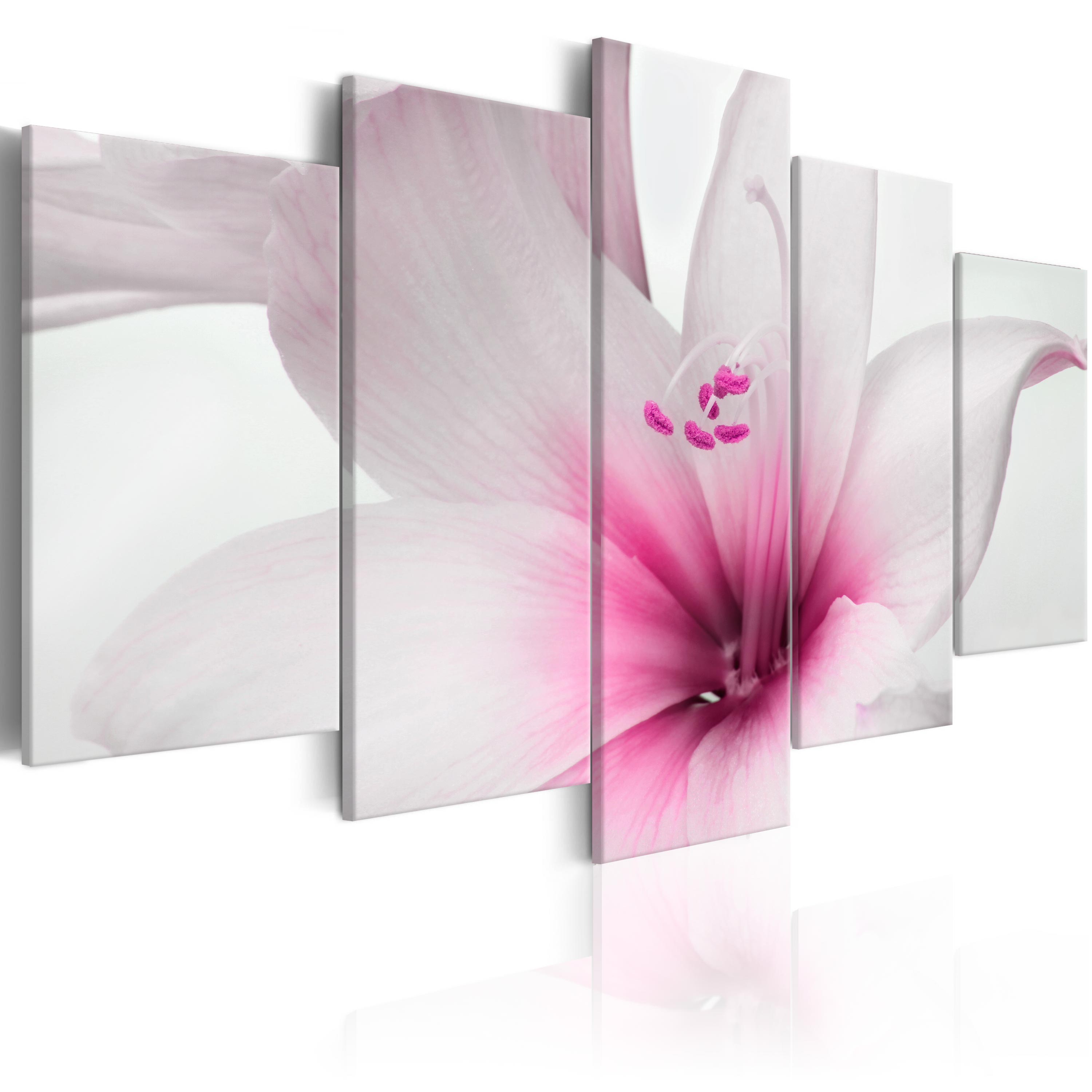Canvas Print - Amarylis: Pink Charm - 100x50