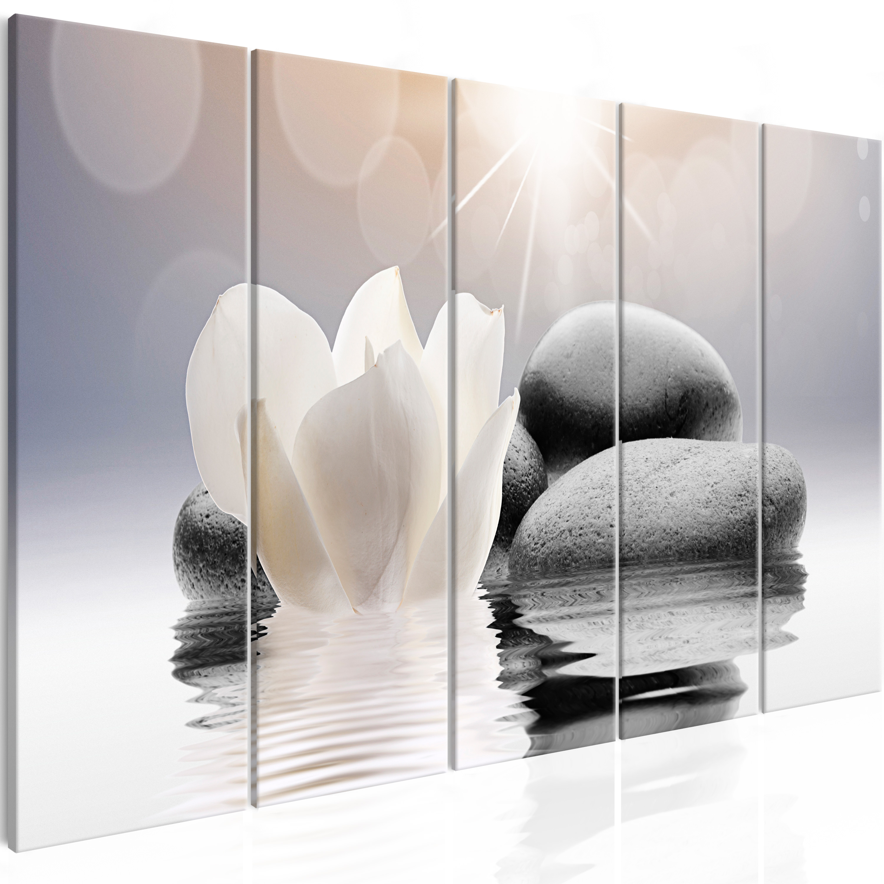 Canvas Print - Pebbles in Water (5 Parts) Narrow - 225x90