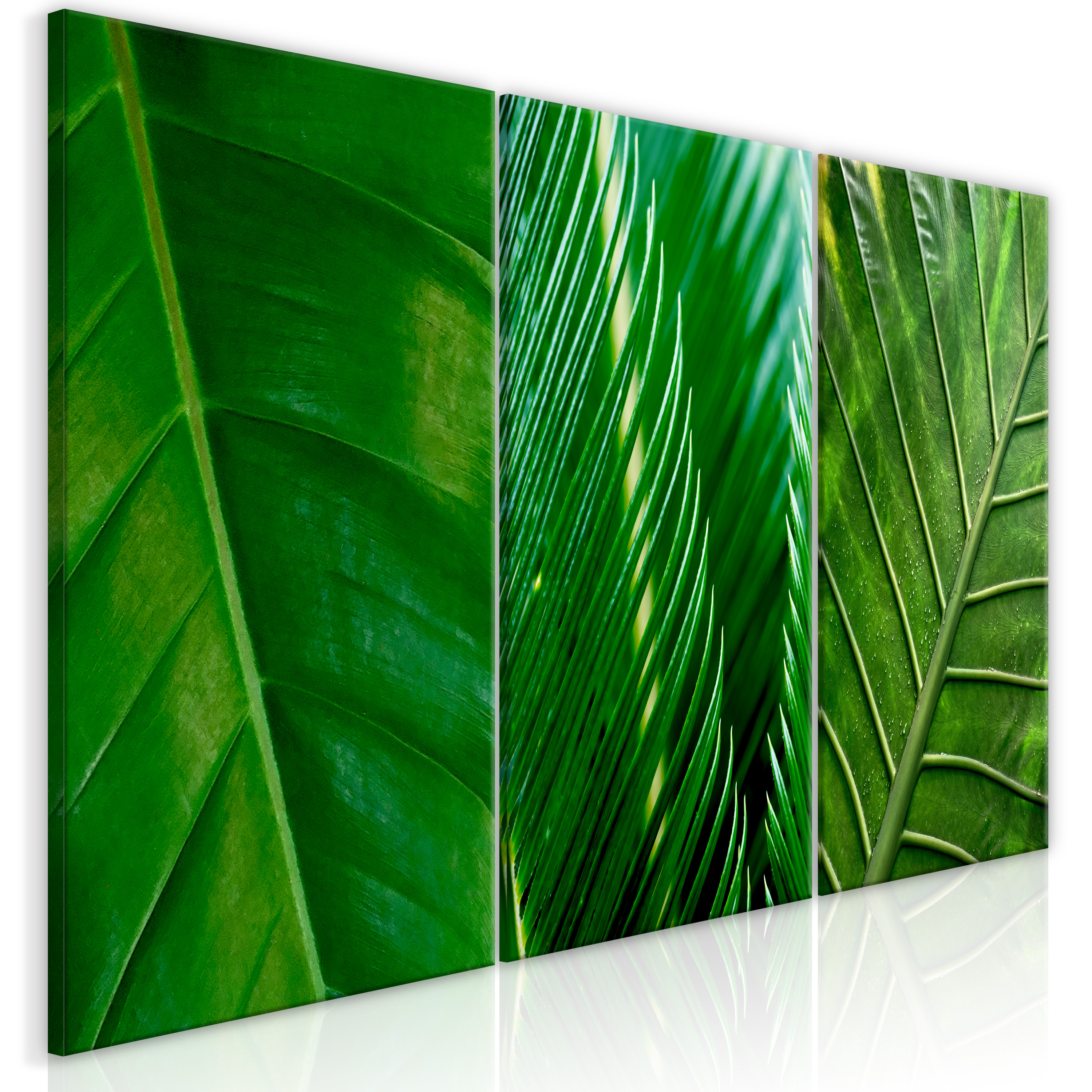 Canvas Print - Leaves (Collection) - 60x30