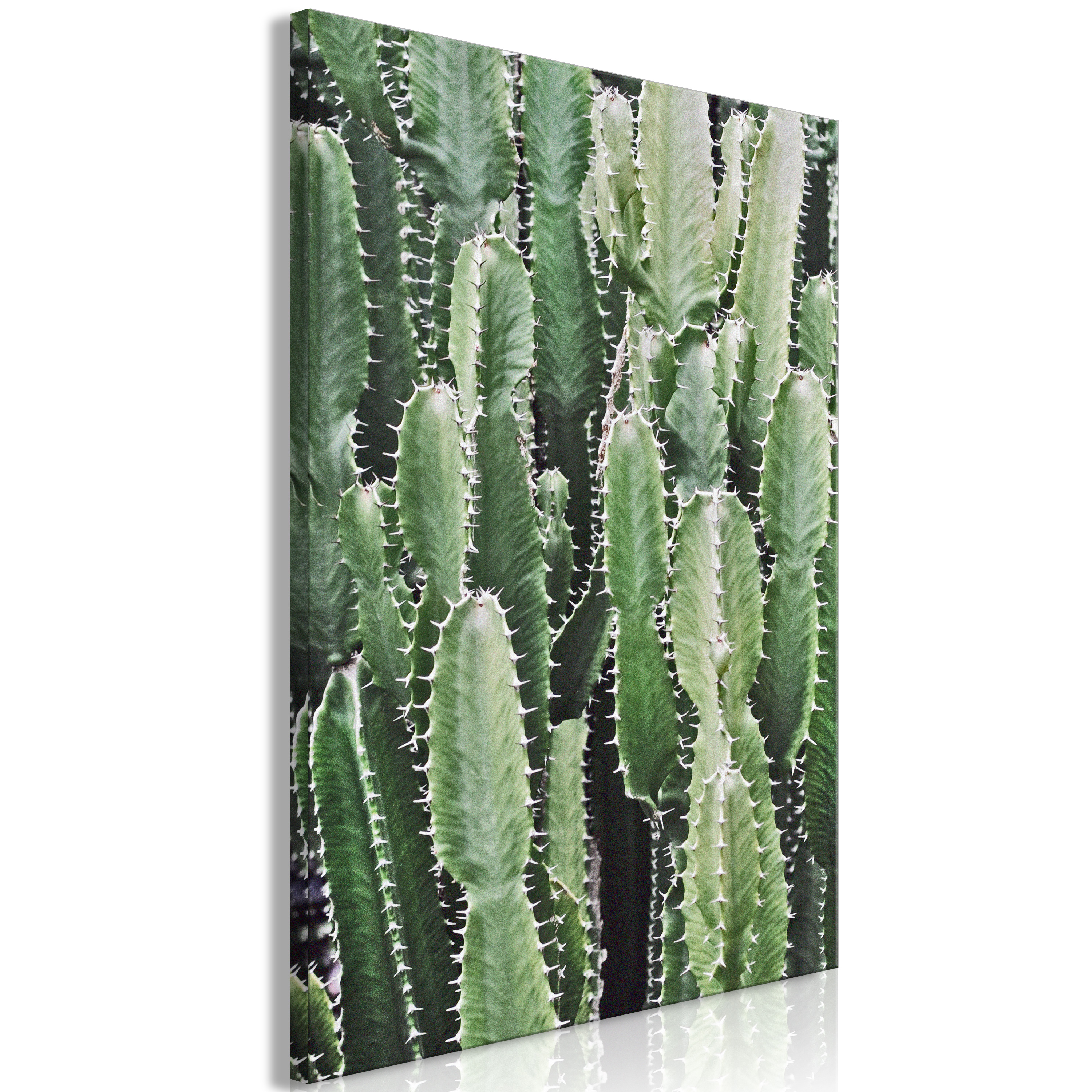 Canvas Print - Cactus Garden (1 Part) Vertical - 80x120