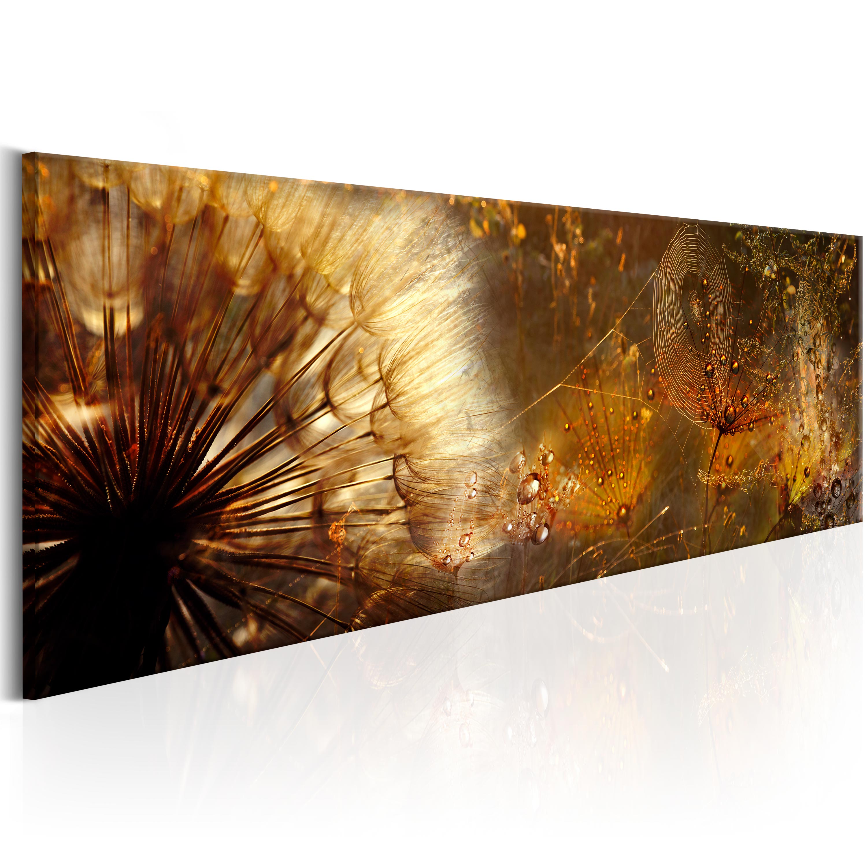 Diente de leon Cuadros lienzo XXL decoracion pared foto impresion b-A-0371-b-a