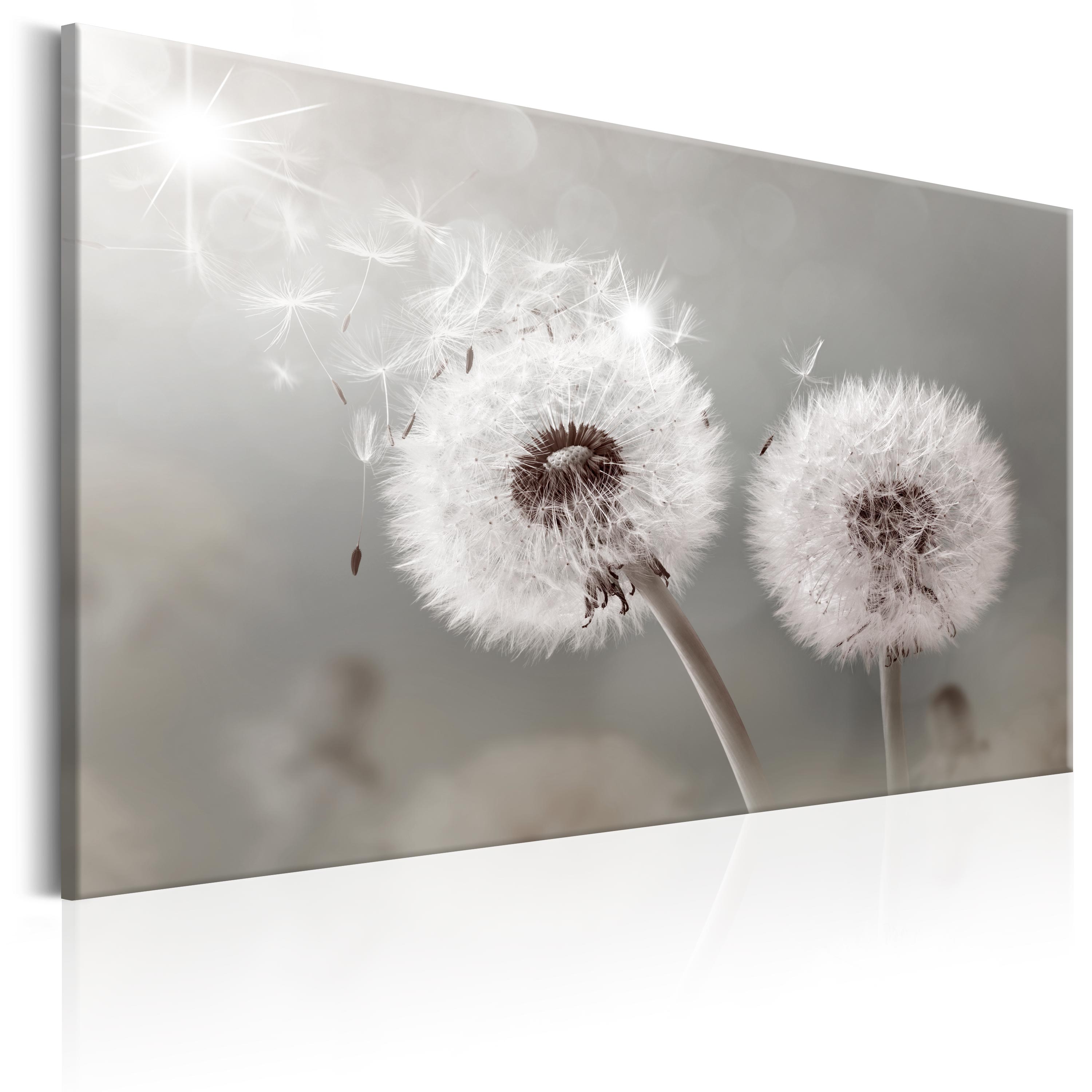 DANDELION NATURE Canvas Print Framed Wall Art Picture Photo Image bC