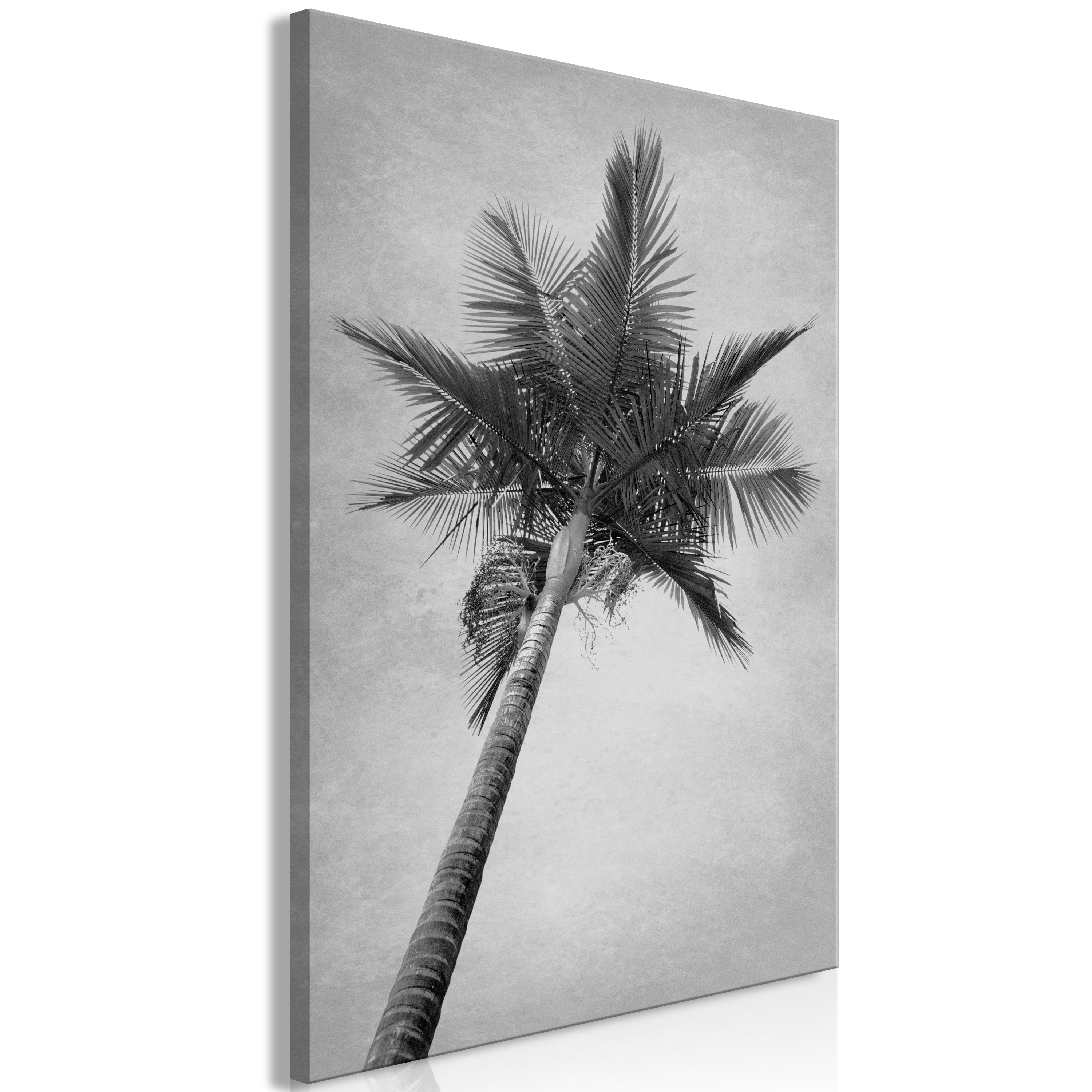 Canvas Print - High Palm Tree (1 Part) Vertical - 40x60