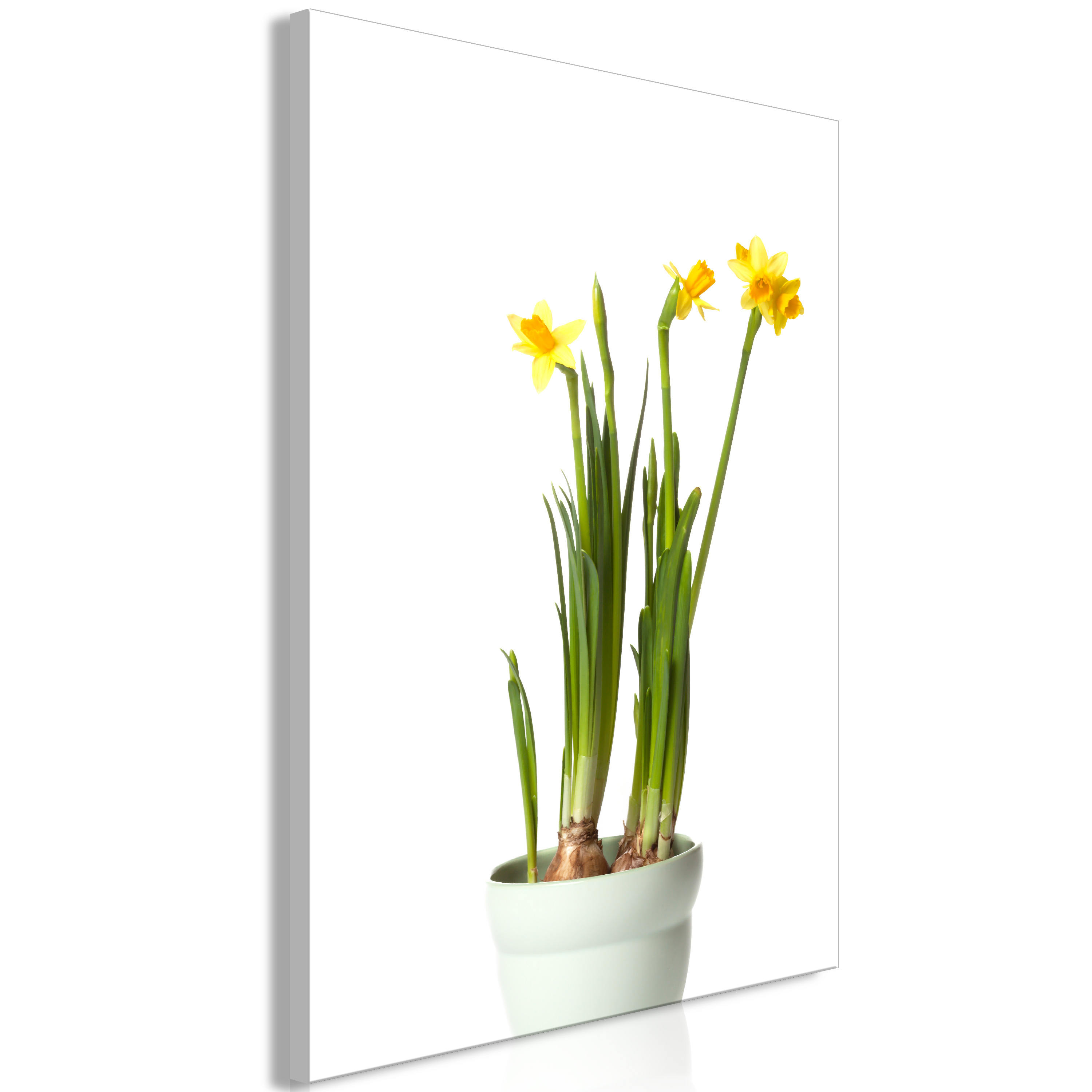 Canvas Print - Narcissus (1 Part) Vertical - 80x120