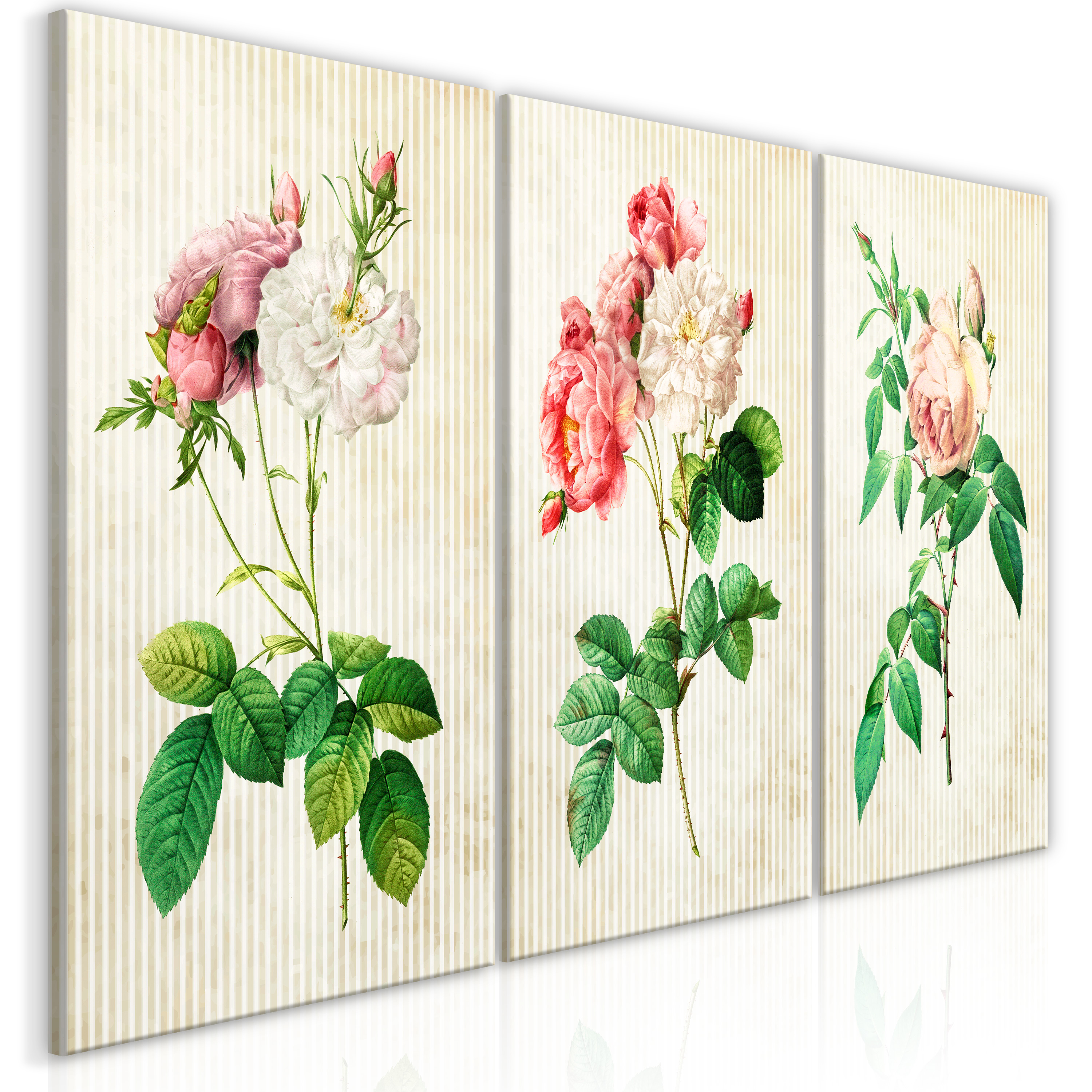 Canvas Print - Floral Trio (Collection) - 120x60
