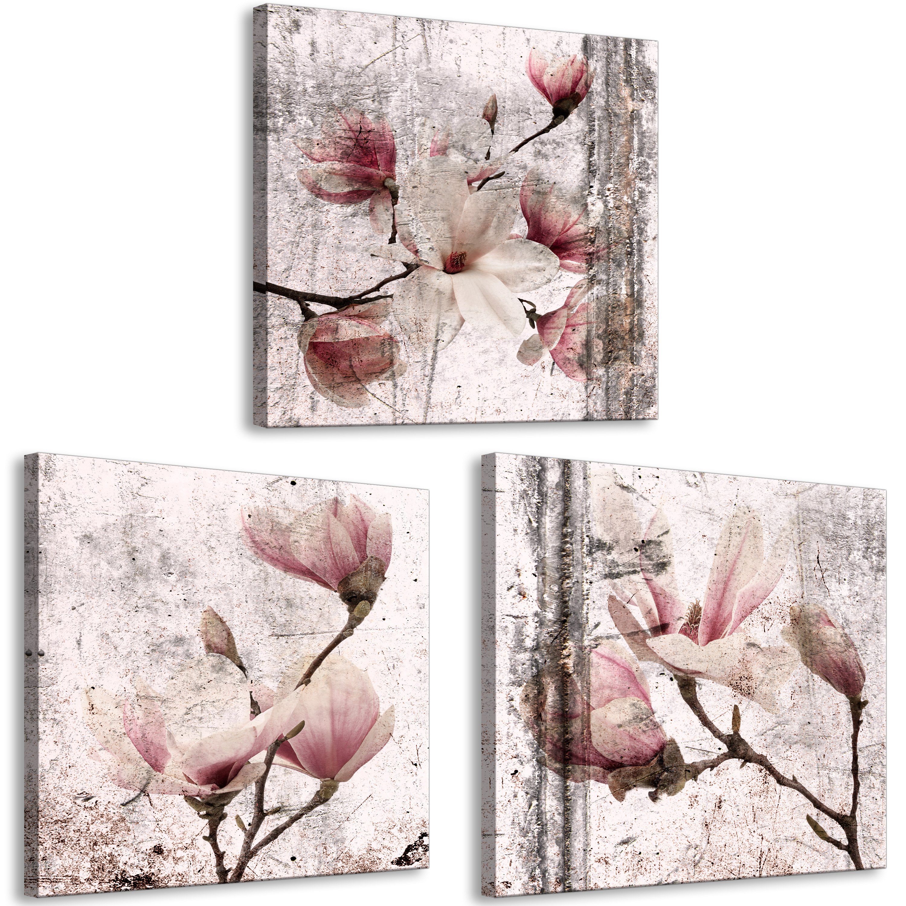 Obraz - Lyrical Magnolias (3 Parts)