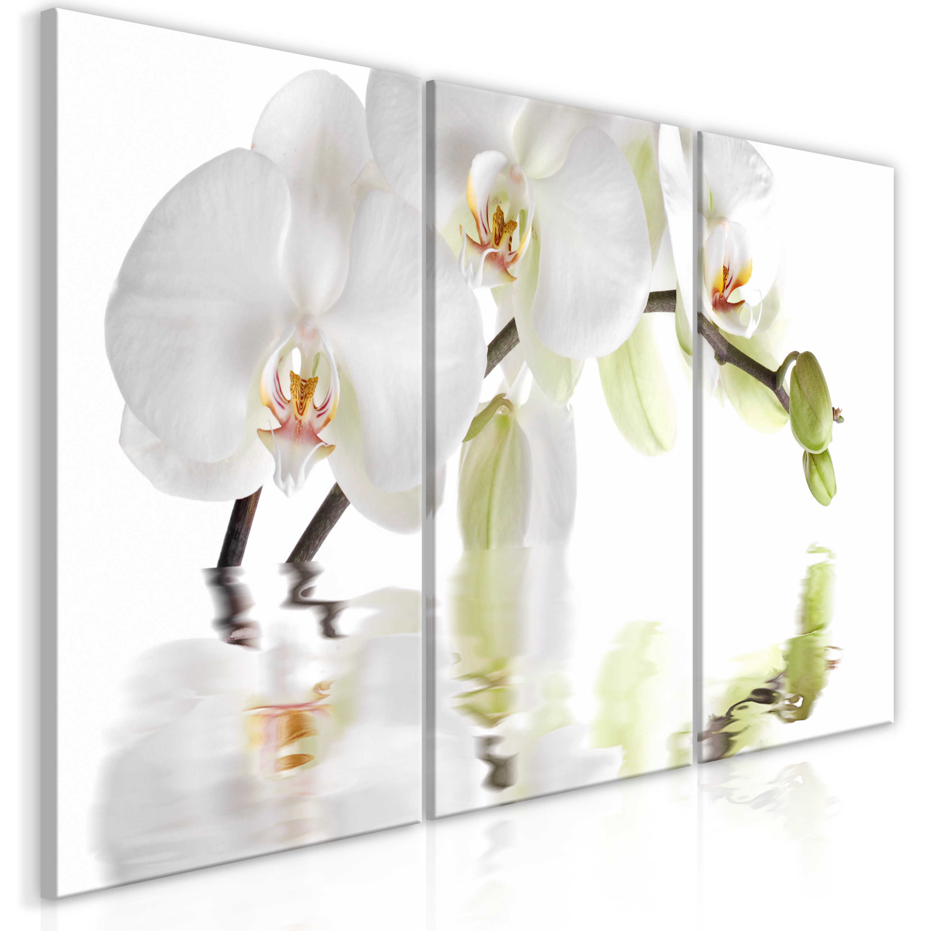 Obraz - Wonderful Orchid (3 Parts)