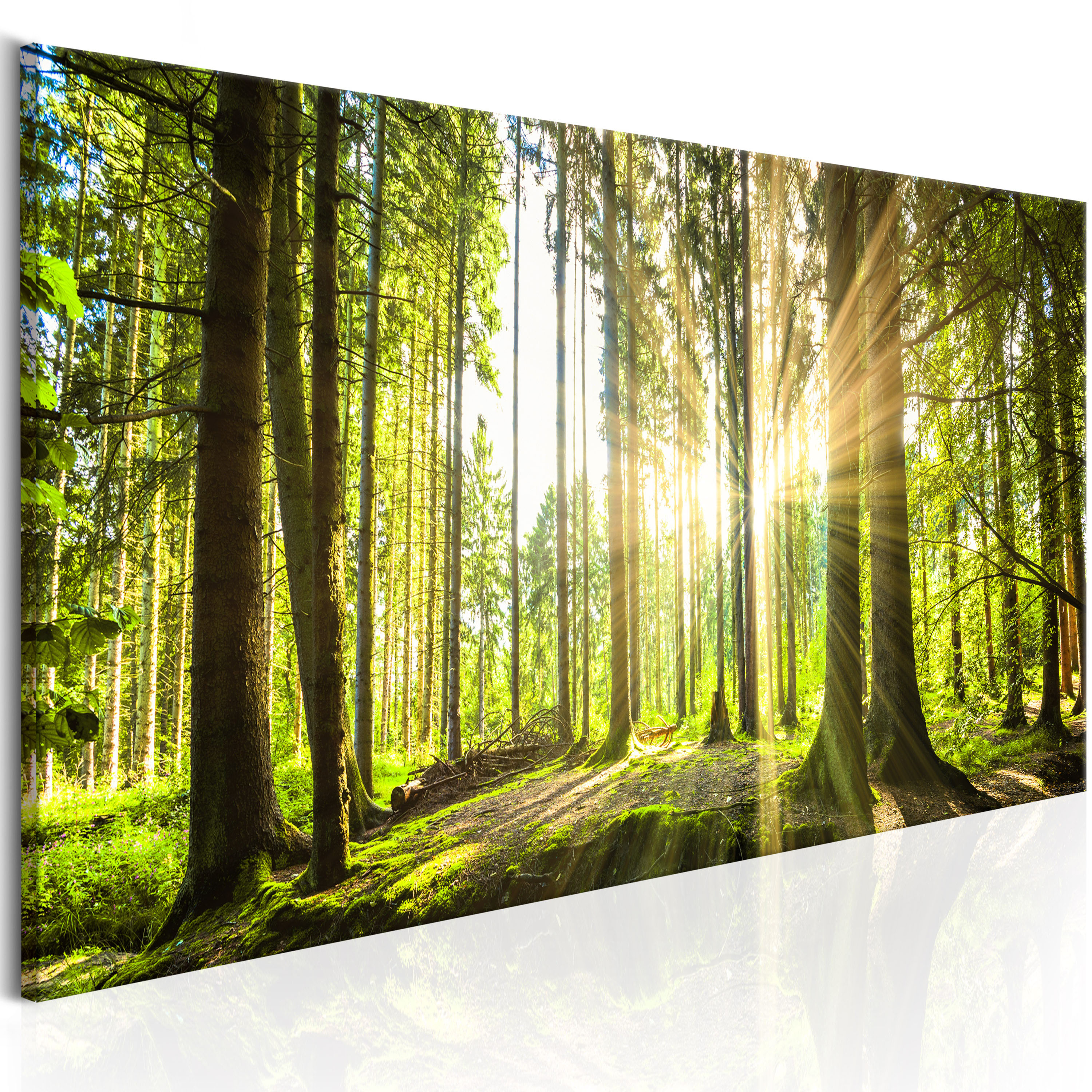 Akustikbild PRO Wandbild Akustikschaum Schallschutz Akustikdämmung c-B-0077-b-b - Bild 7 von 18