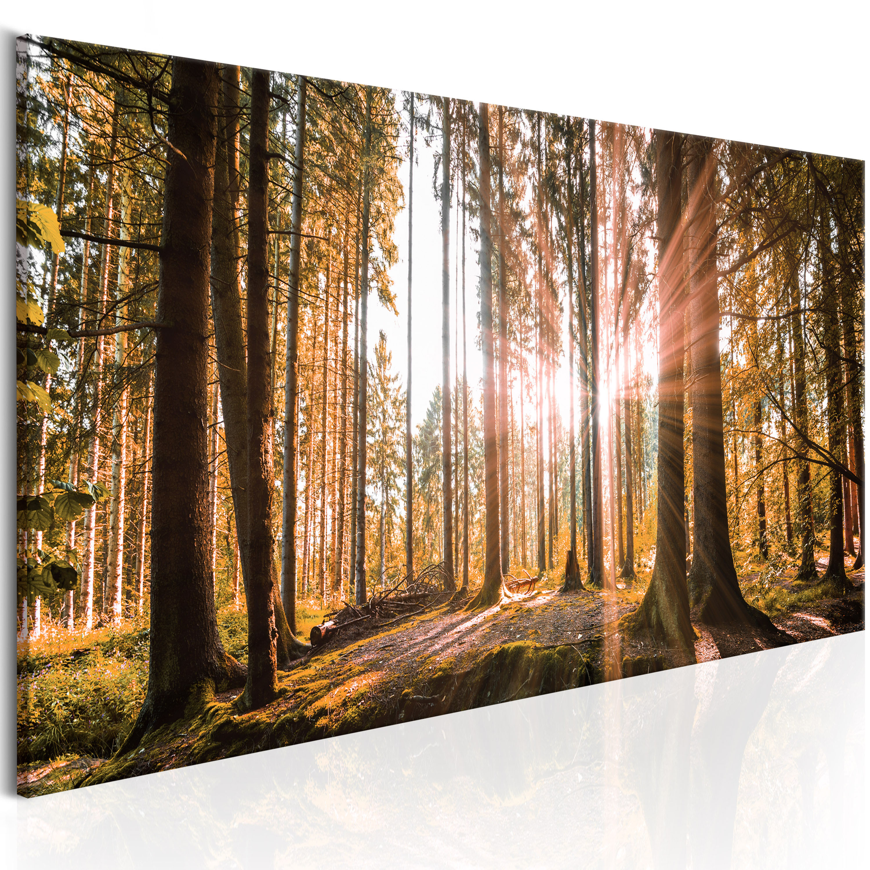Akustikbild PRO Wandbild Akustikschaum Schallschutz Akustikdämmung c-B-0077-b-b - Bild 15 von 18