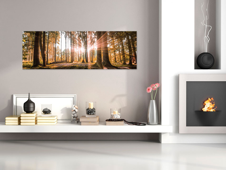 Akustikbild PRO Wandbild Akustikschaum Schallschutz Akustikdämmung c-B-0077-b-b - Bild 16 von 18