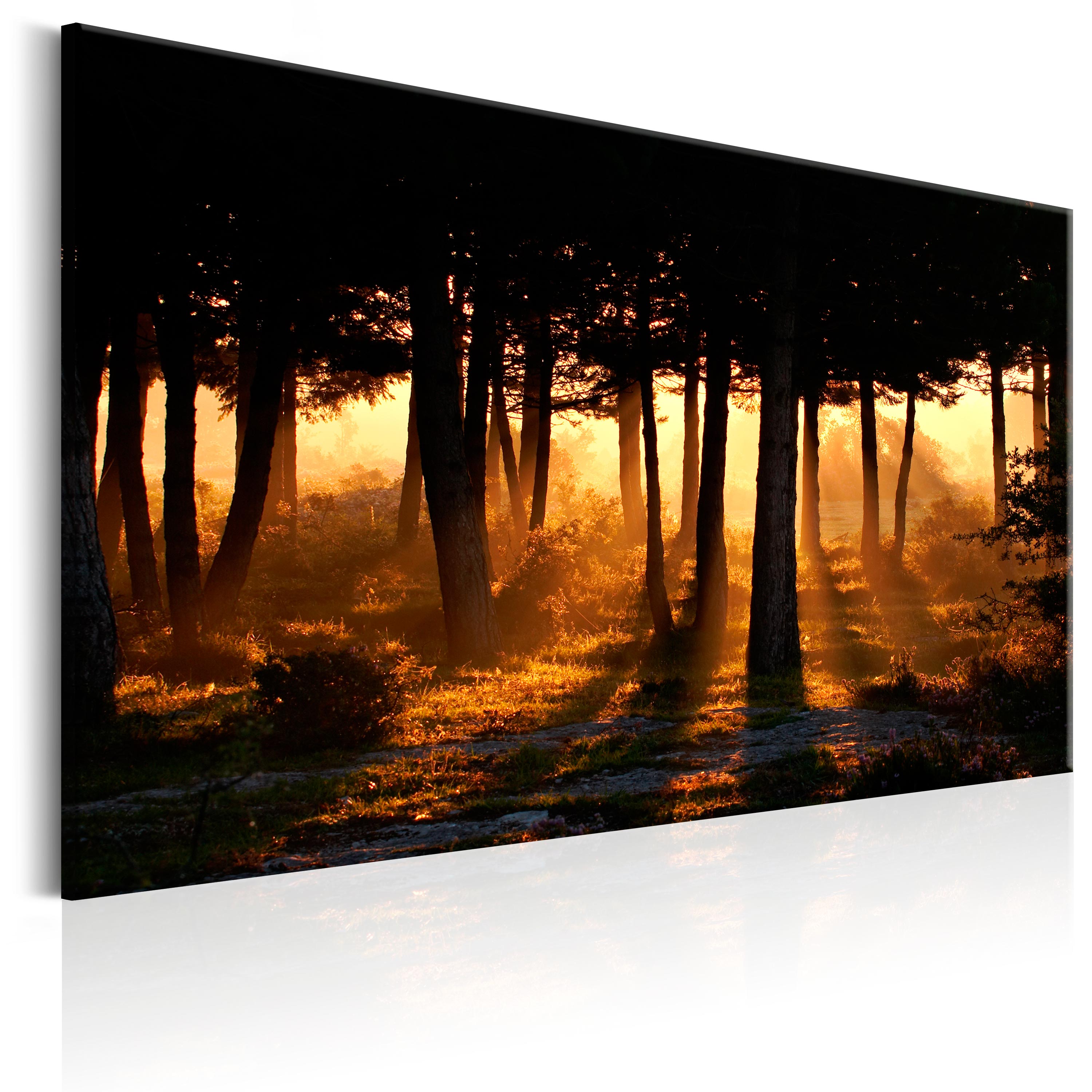 Canvas Print - Forest Dawn - 90x60