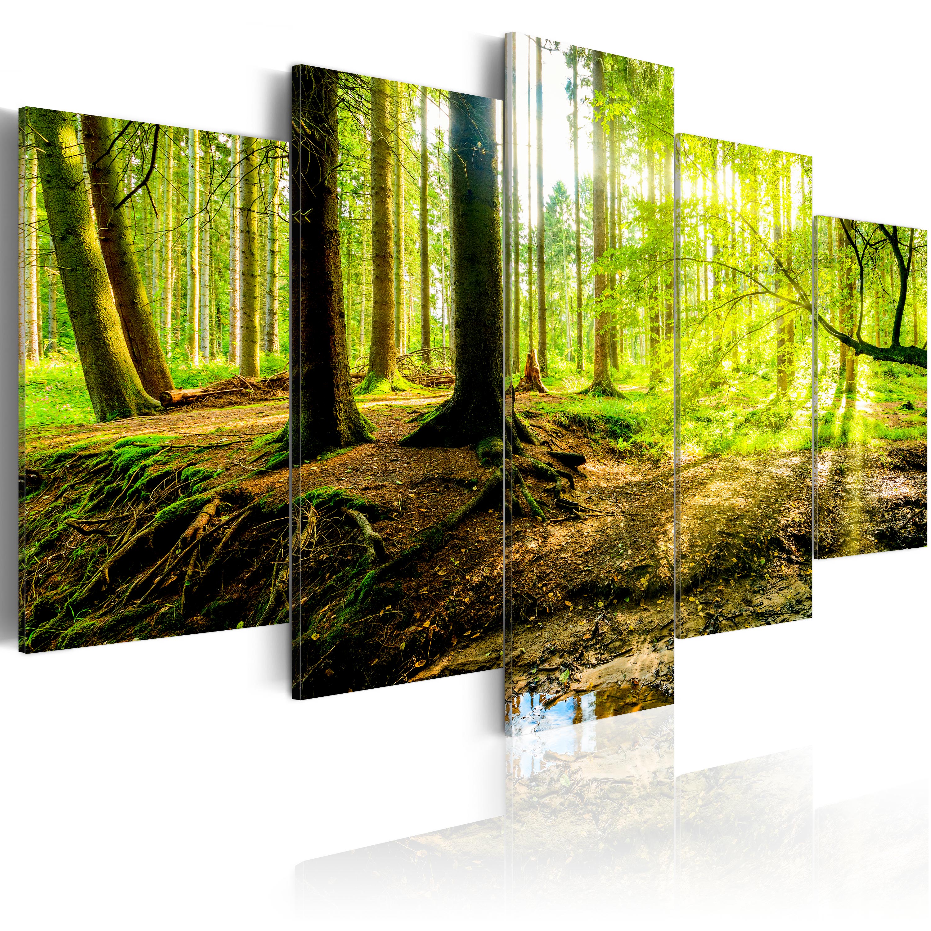 Canvas Print - Poetry of a Forest - 100x50