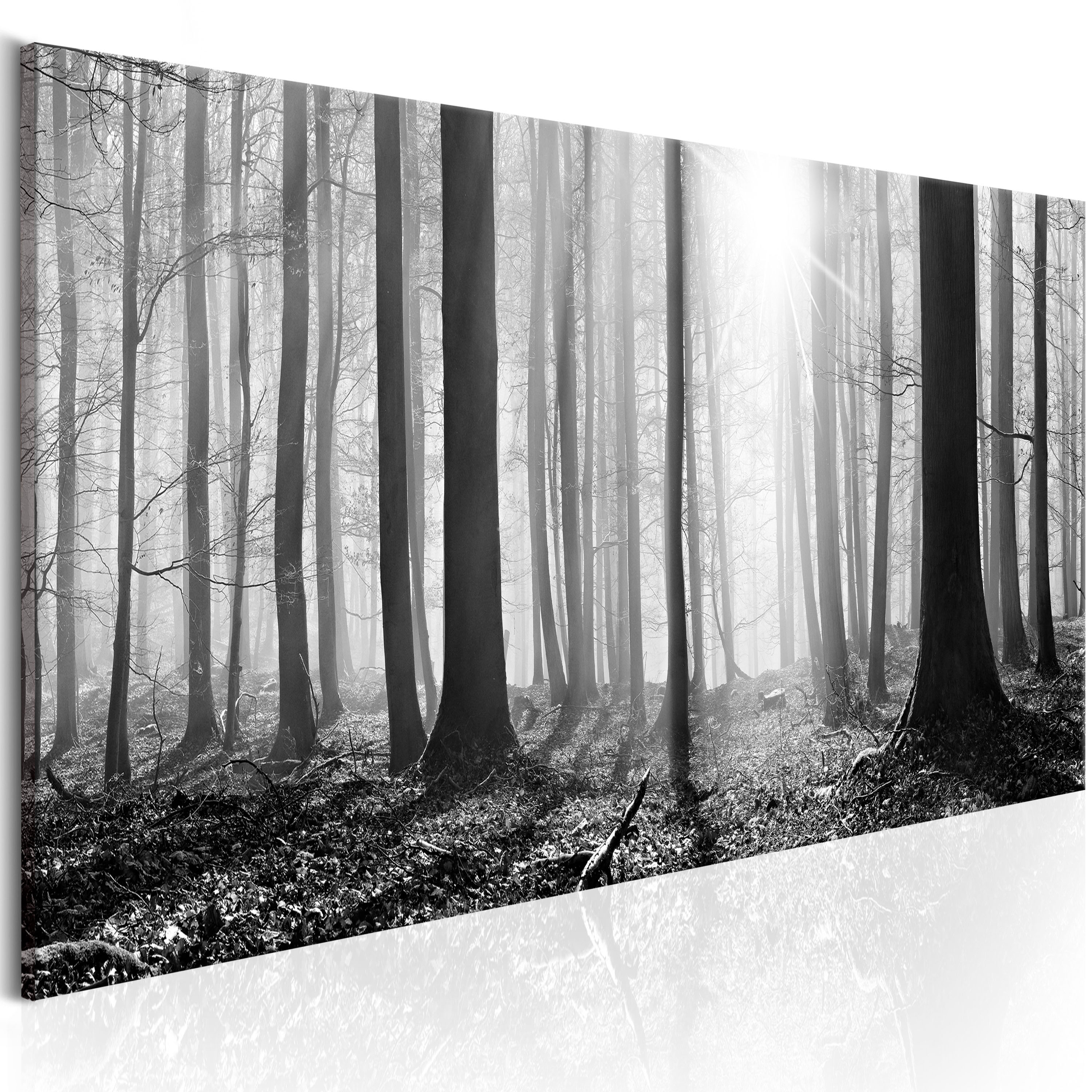 Canvas Print - Black and White Forest - 120x40