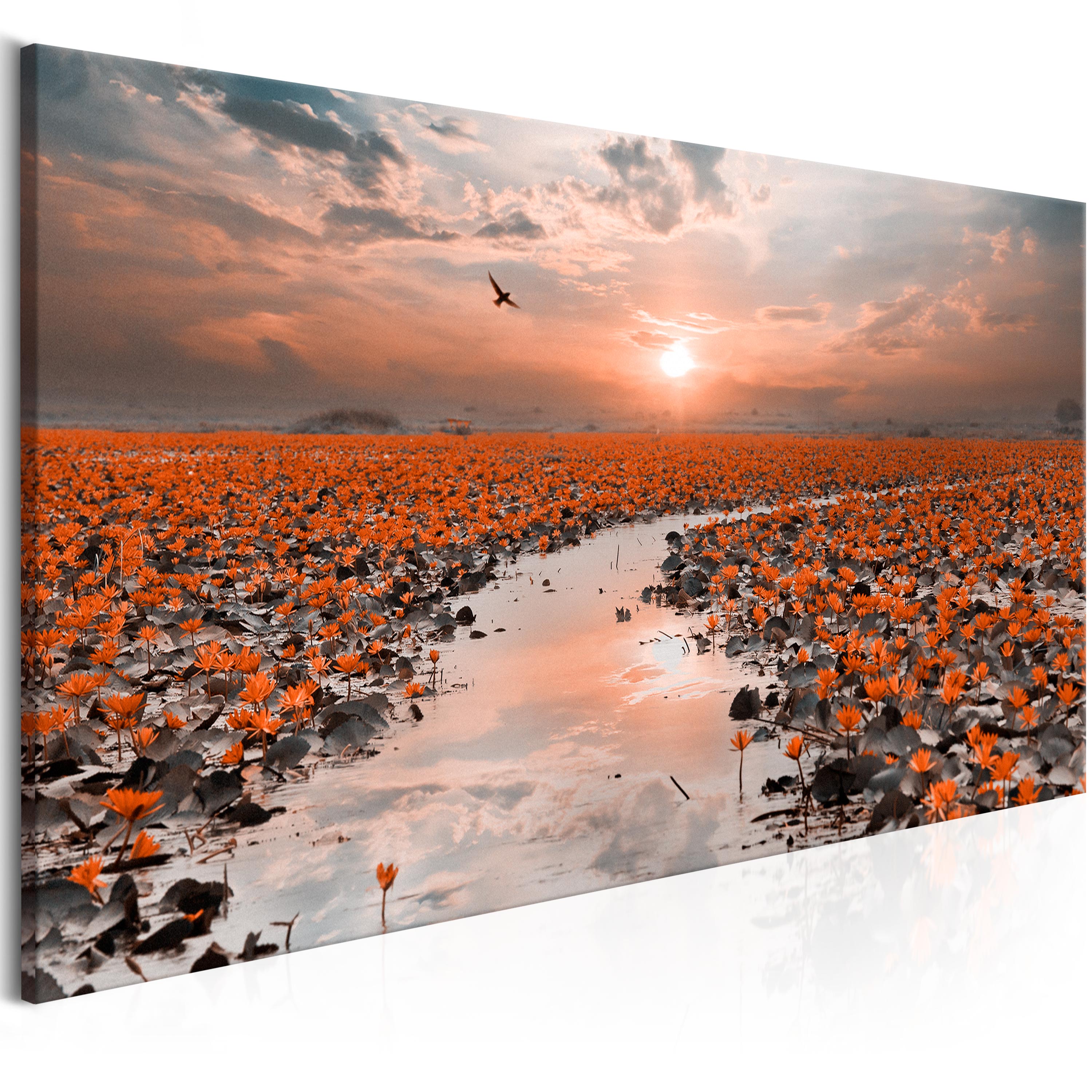 Canvas Print - Lily Pathway (1 Part) Wide - 100x45