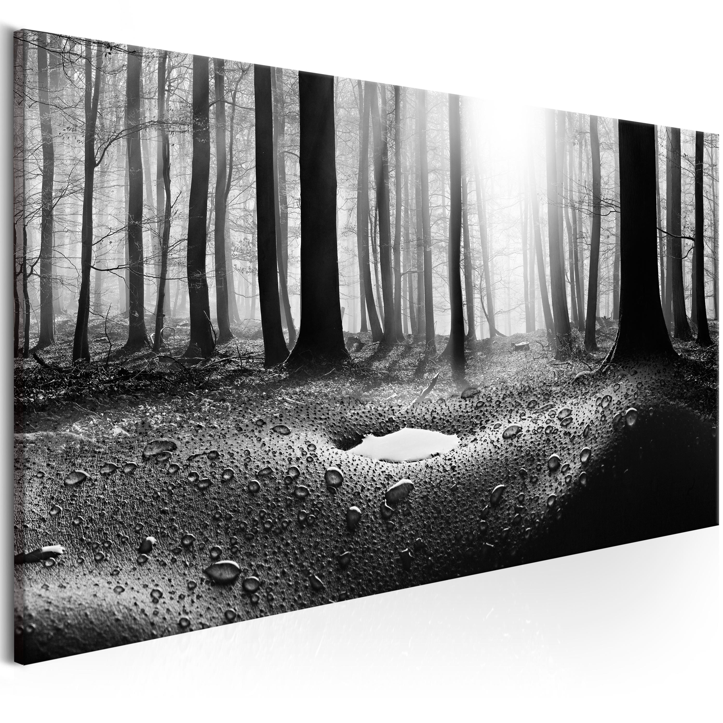 Canvas Print - Forest after Rain (1 Part) Narrow - 135x45