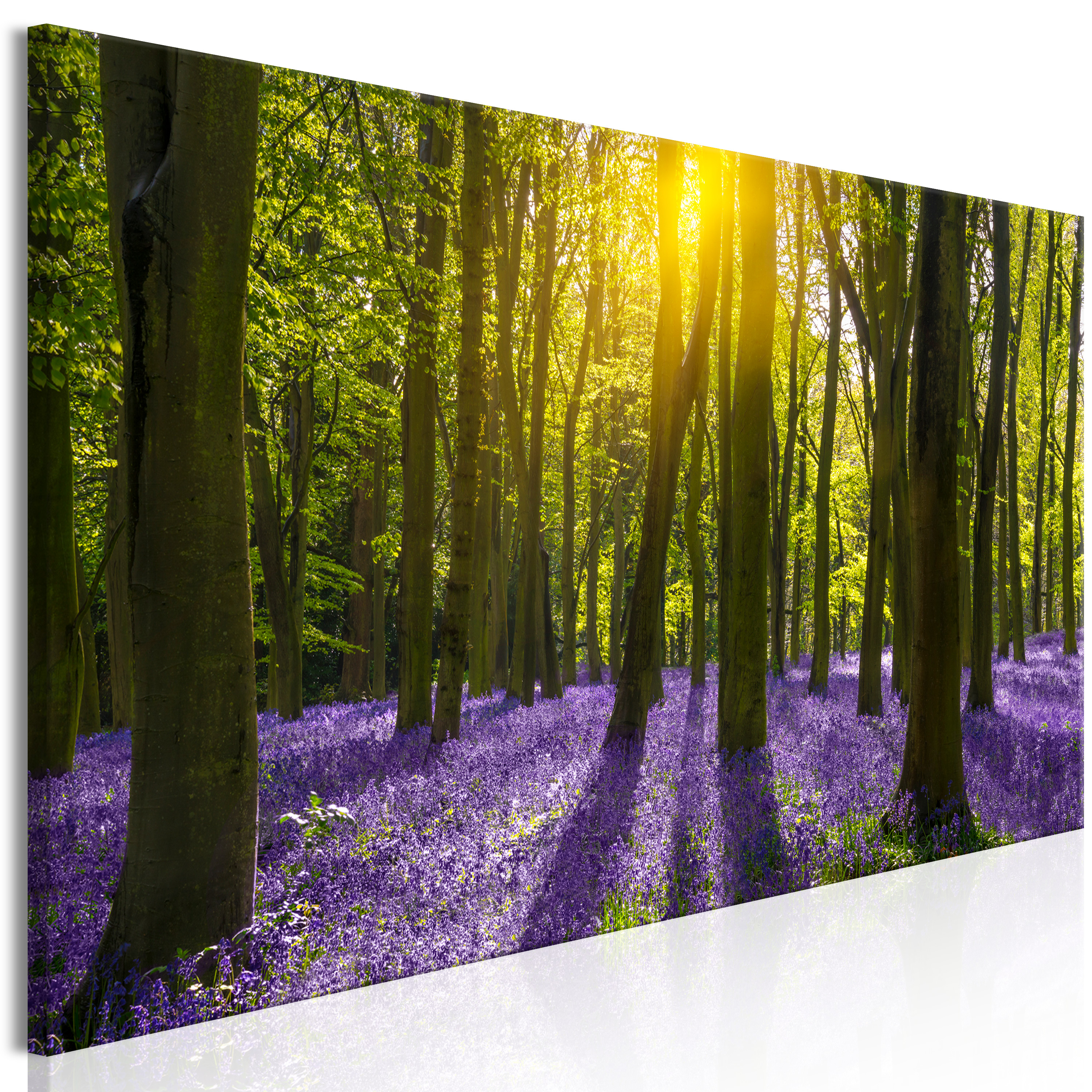 Canvas Print - Hyacinth Field (1 Part) Narrow - 120x40