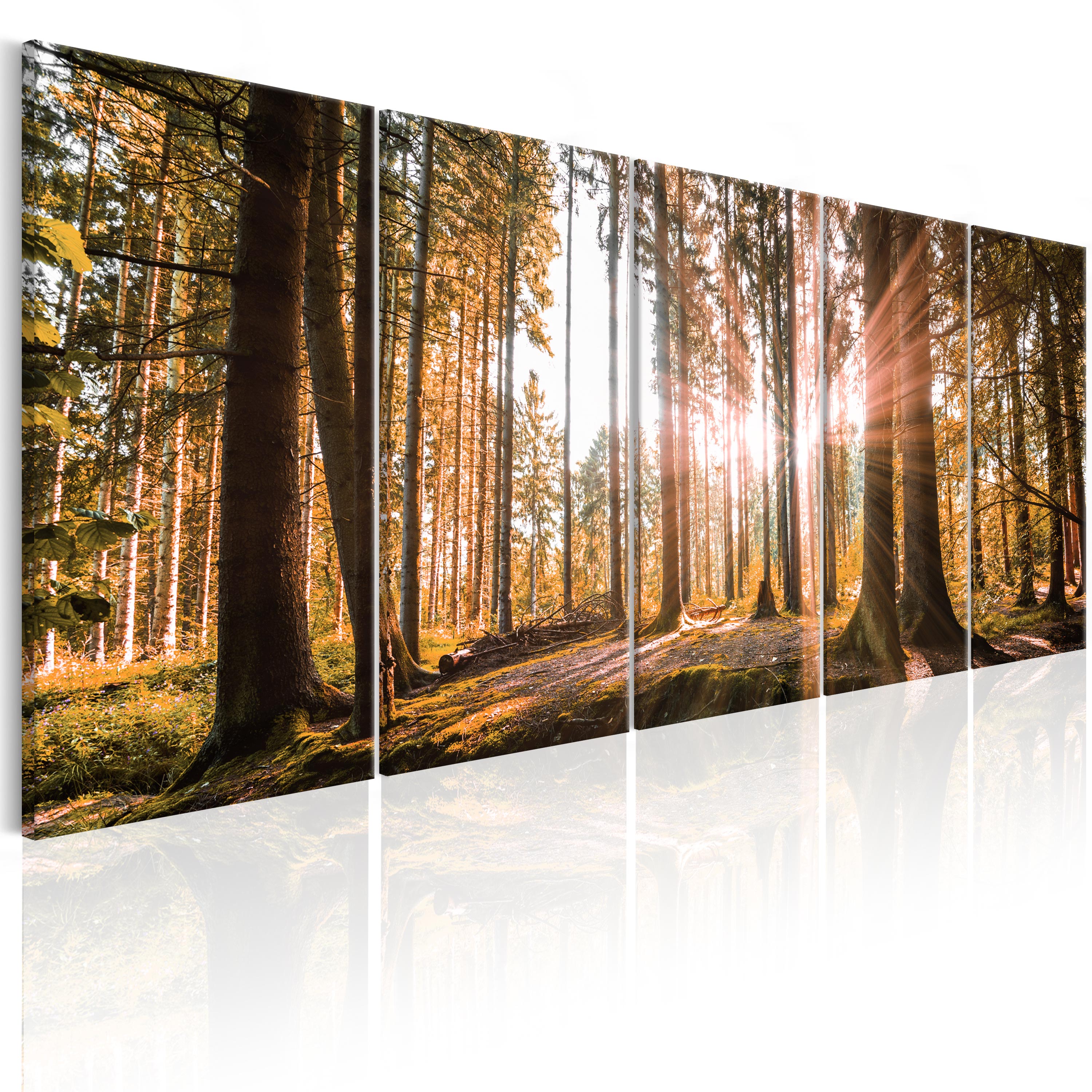 Canvas Print - Beauty of Nature - 225x90