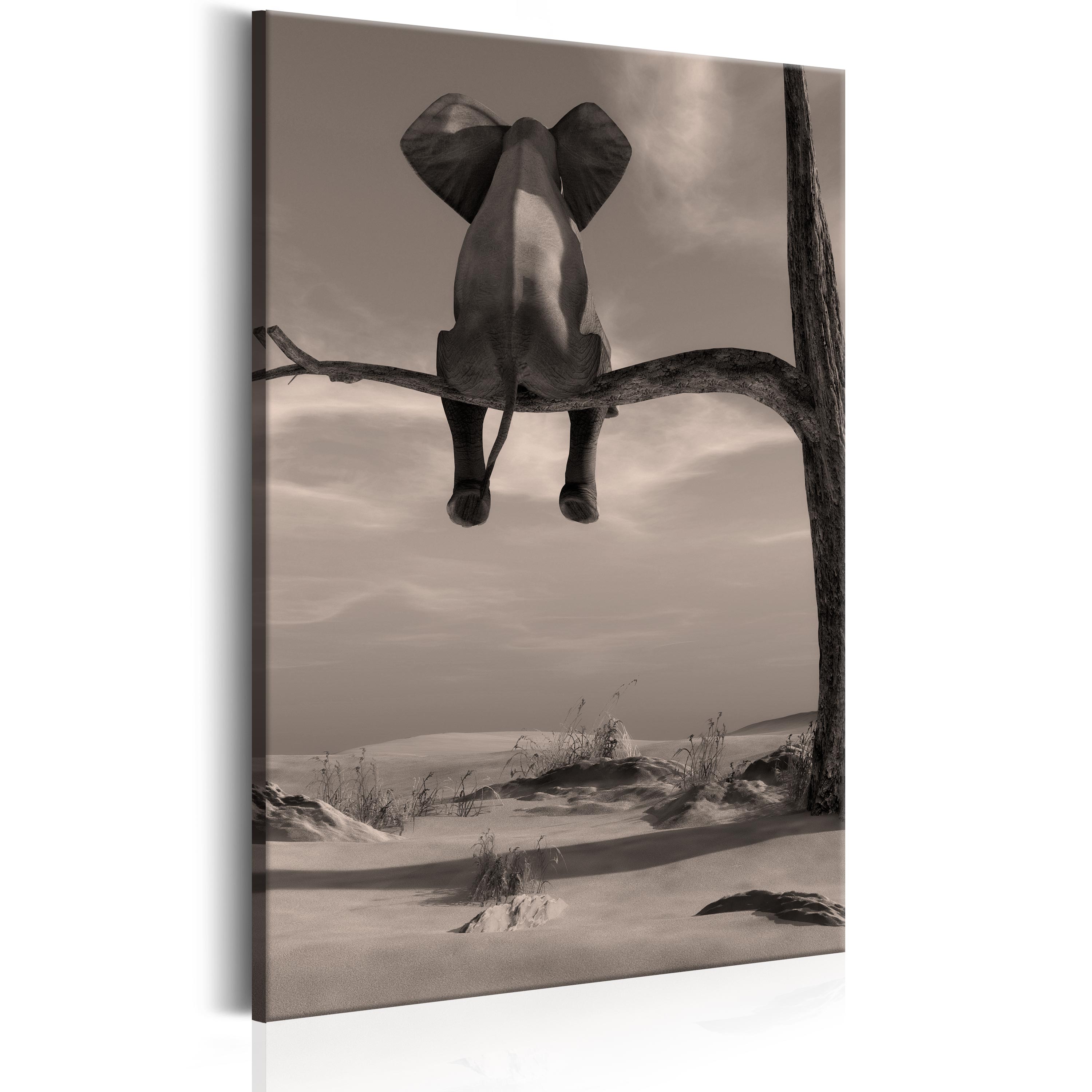 Canvas Print - Elephant in the Desert - 40x60