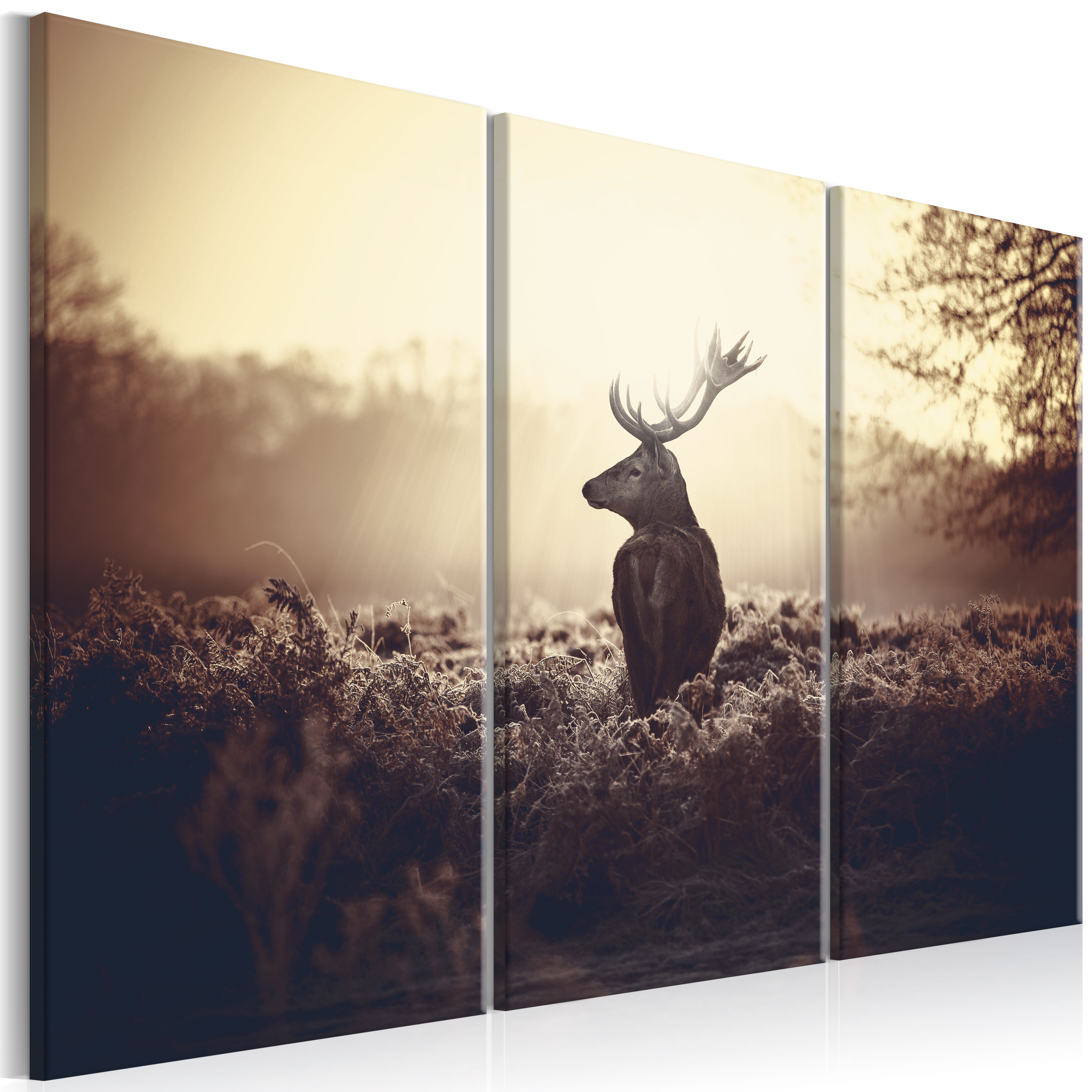 Canvas Print - Lurking Deer I - 90x60