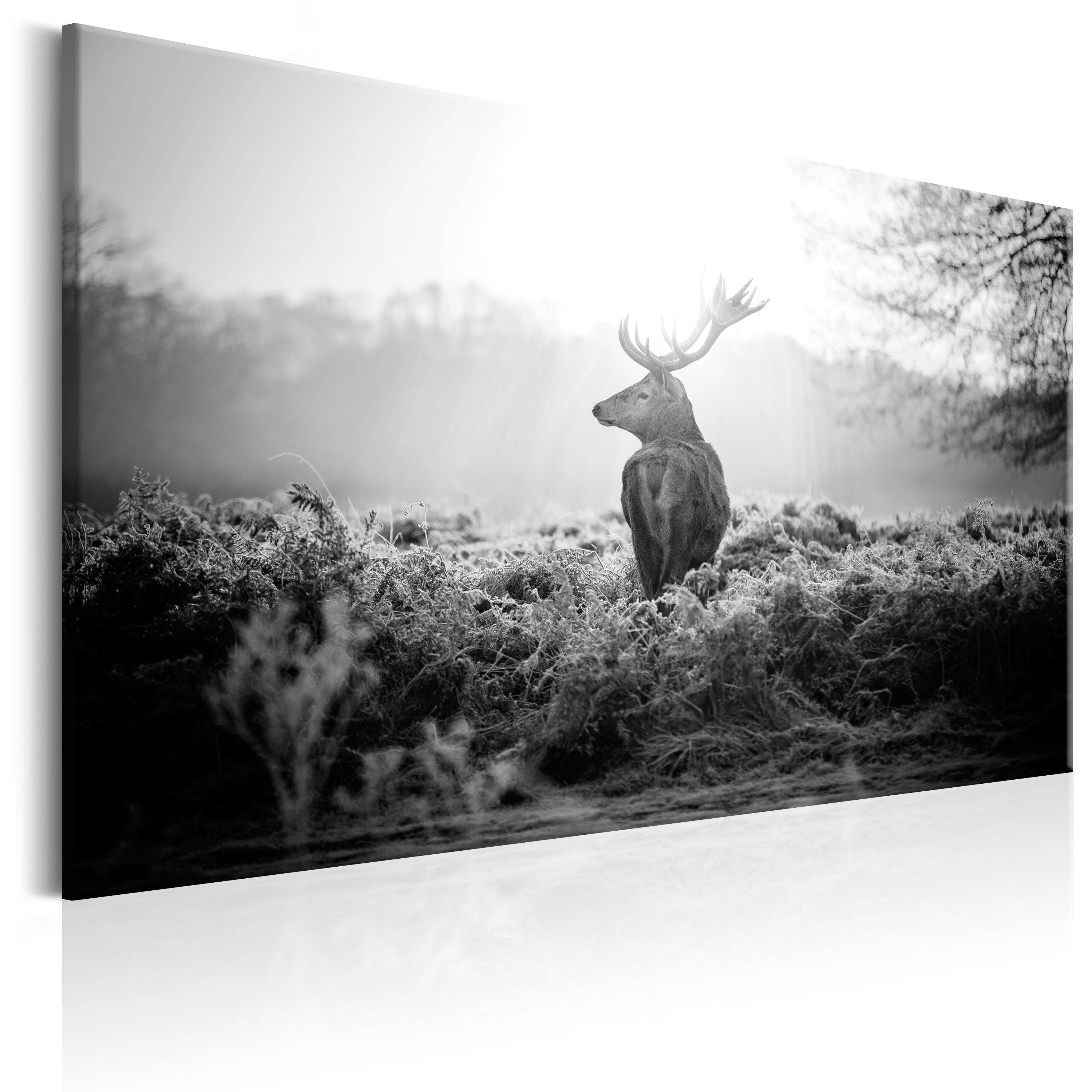 Canvas Print - Black and White Deer - 90x60